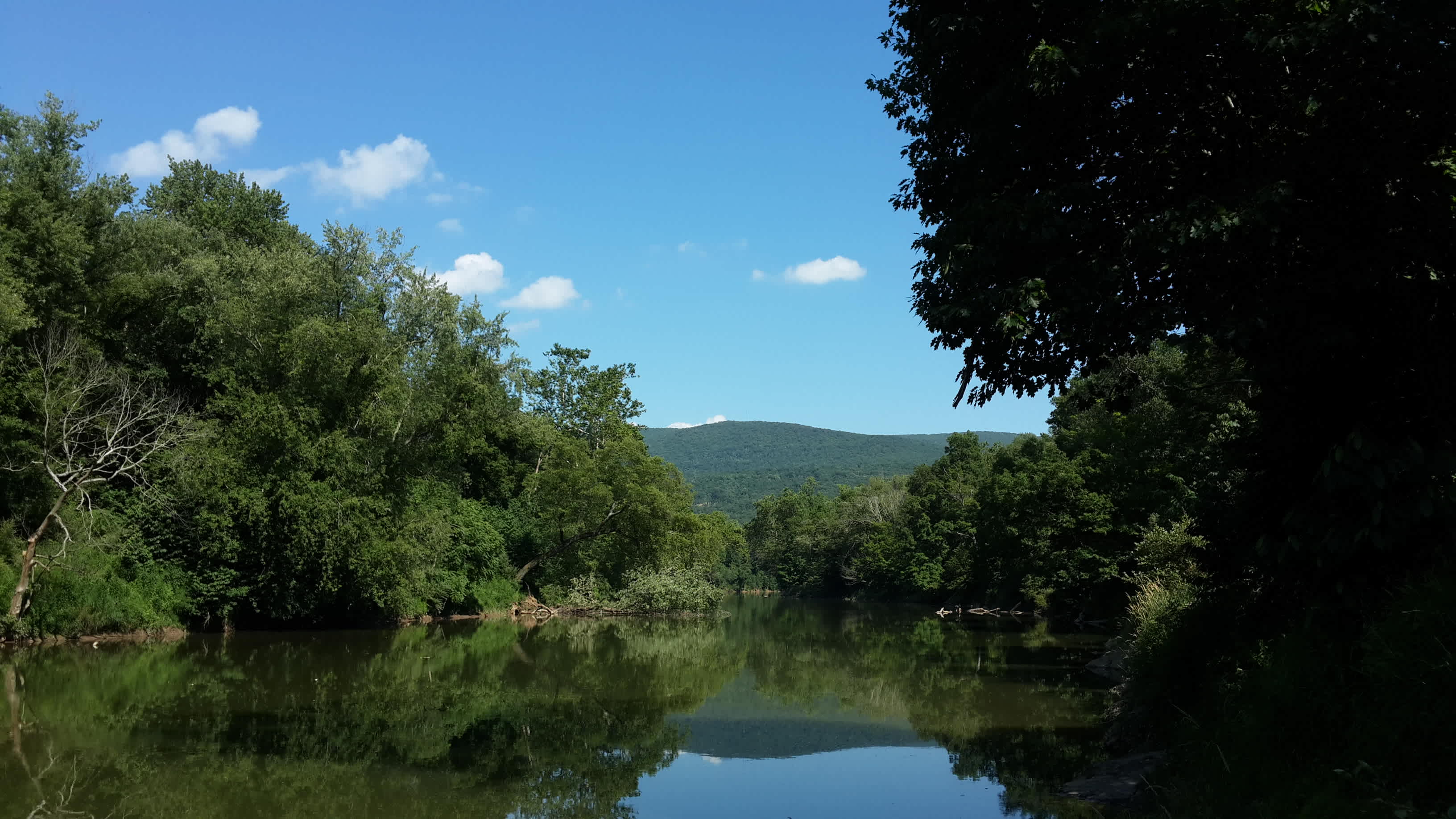 Cacapon River in the summer.