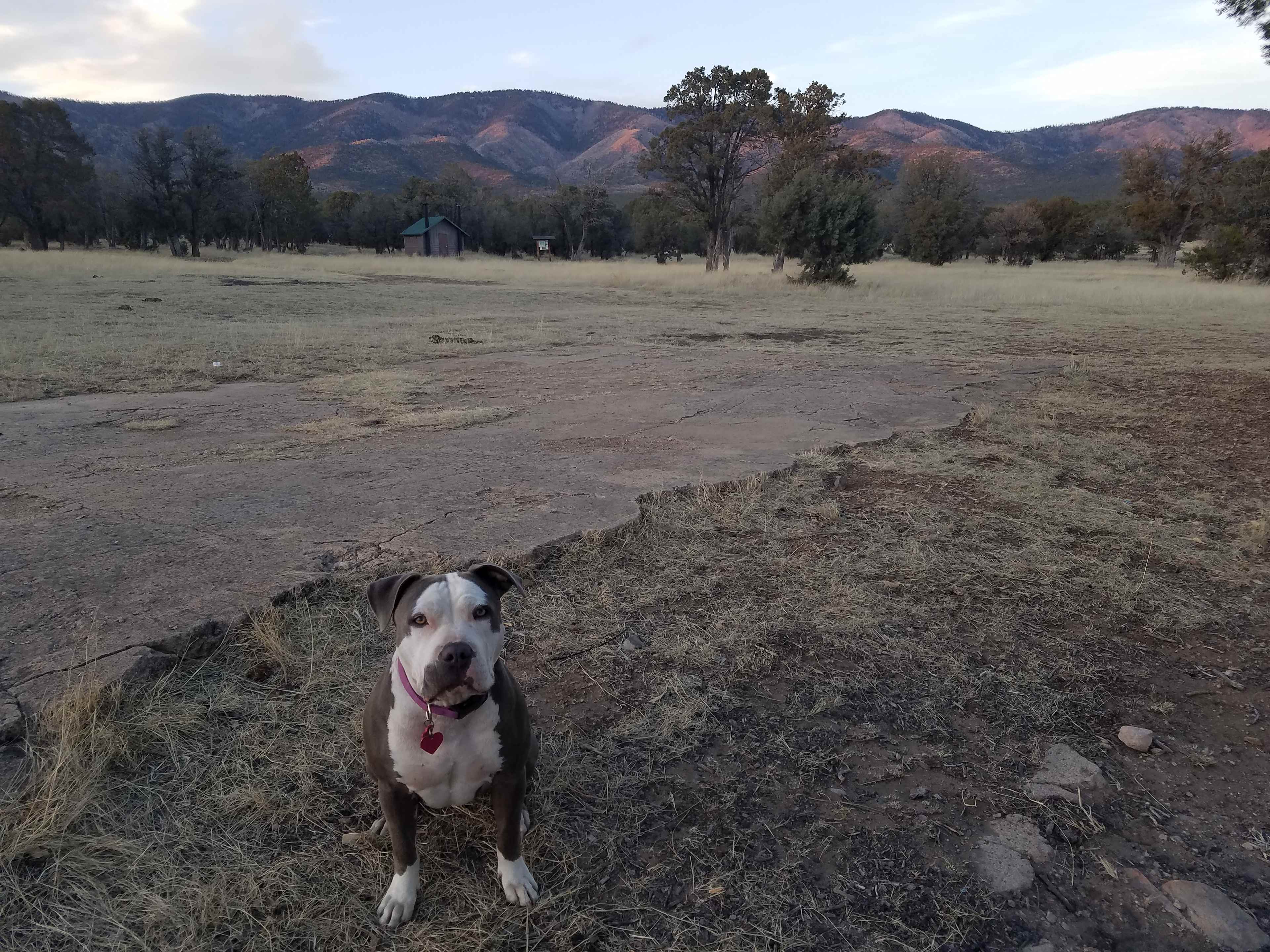 View of the mountains at sunset.