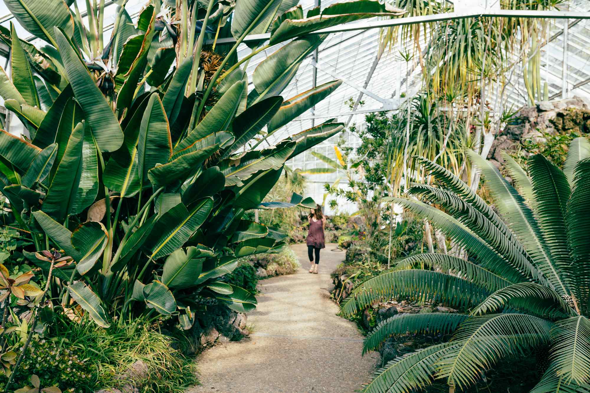 Tropical paradise