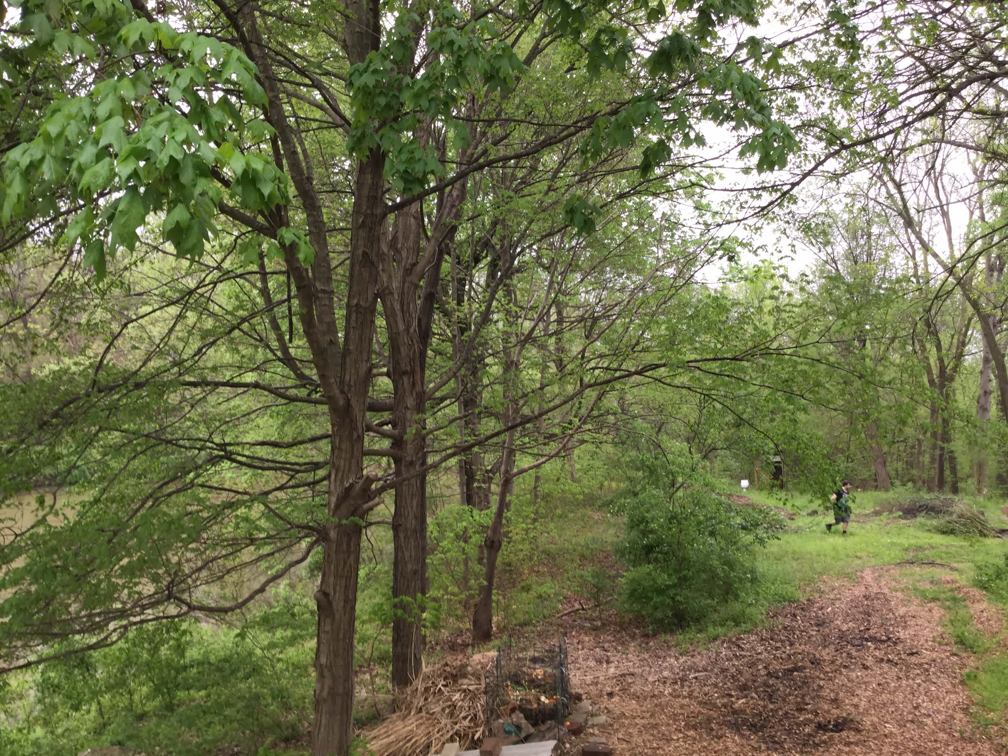15 Acre Wood on Lake