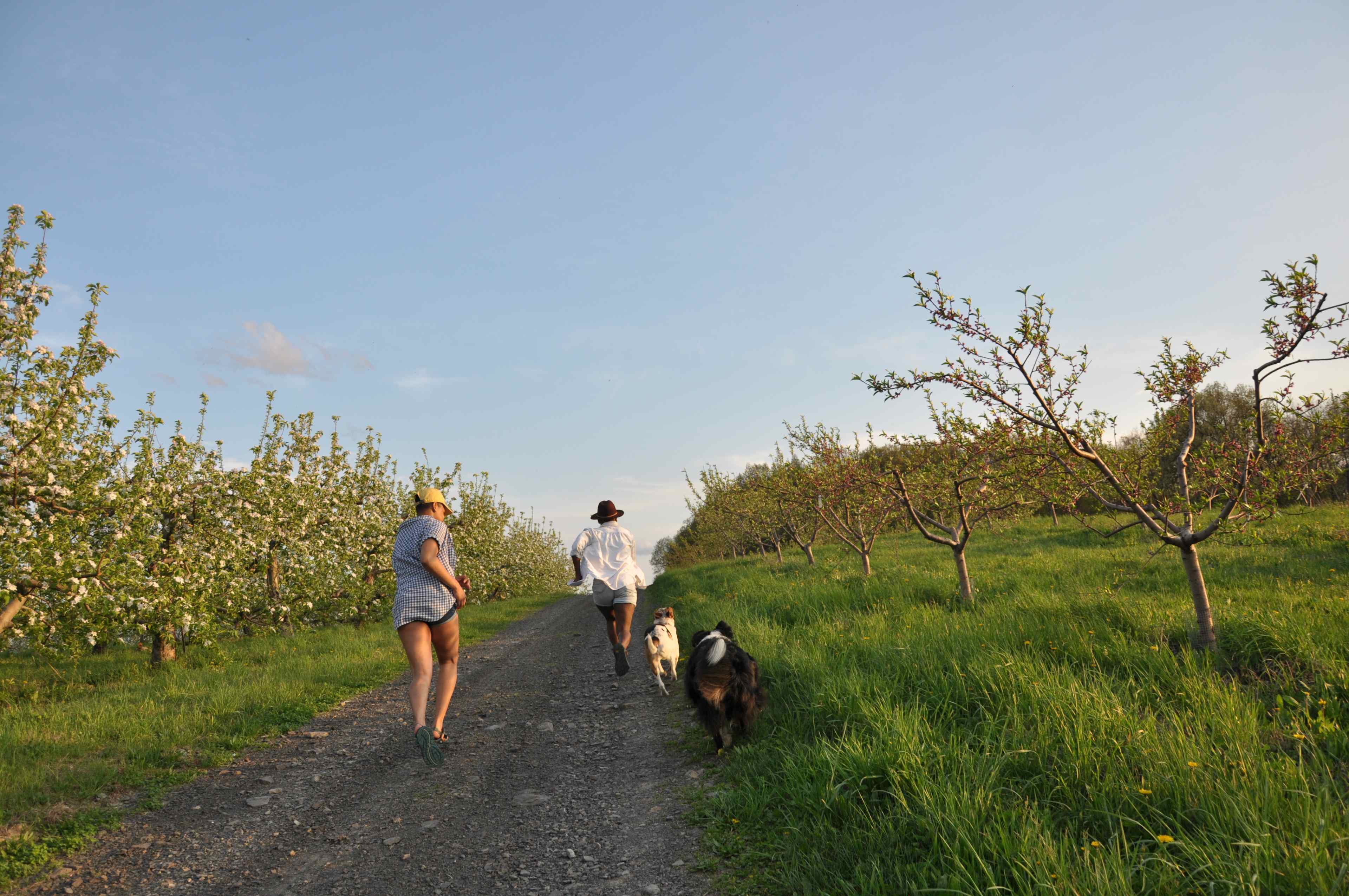 Racing the dogs to the top of the hill. A perfect place to bond with the pups!