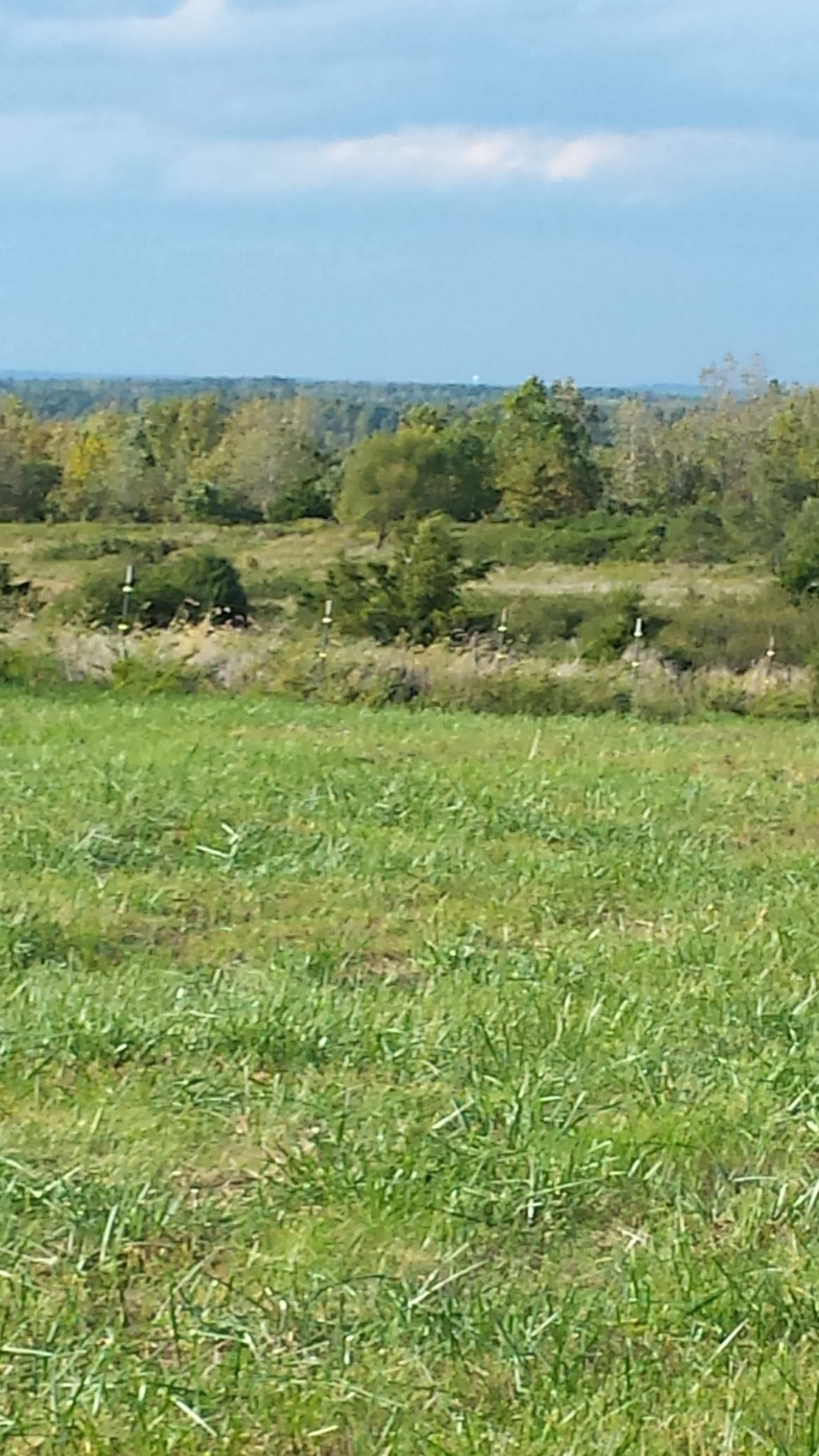 Very High Elevation open pasture. You can see waaaayyy out in the distance. Beautiful Open Country!!