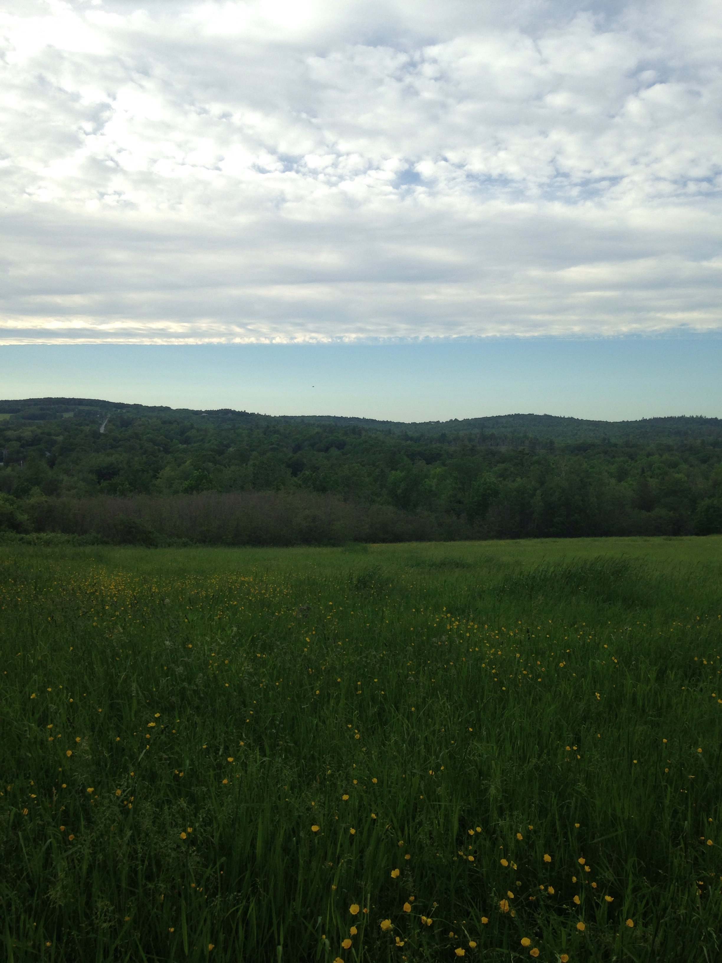 The view from your camping spot