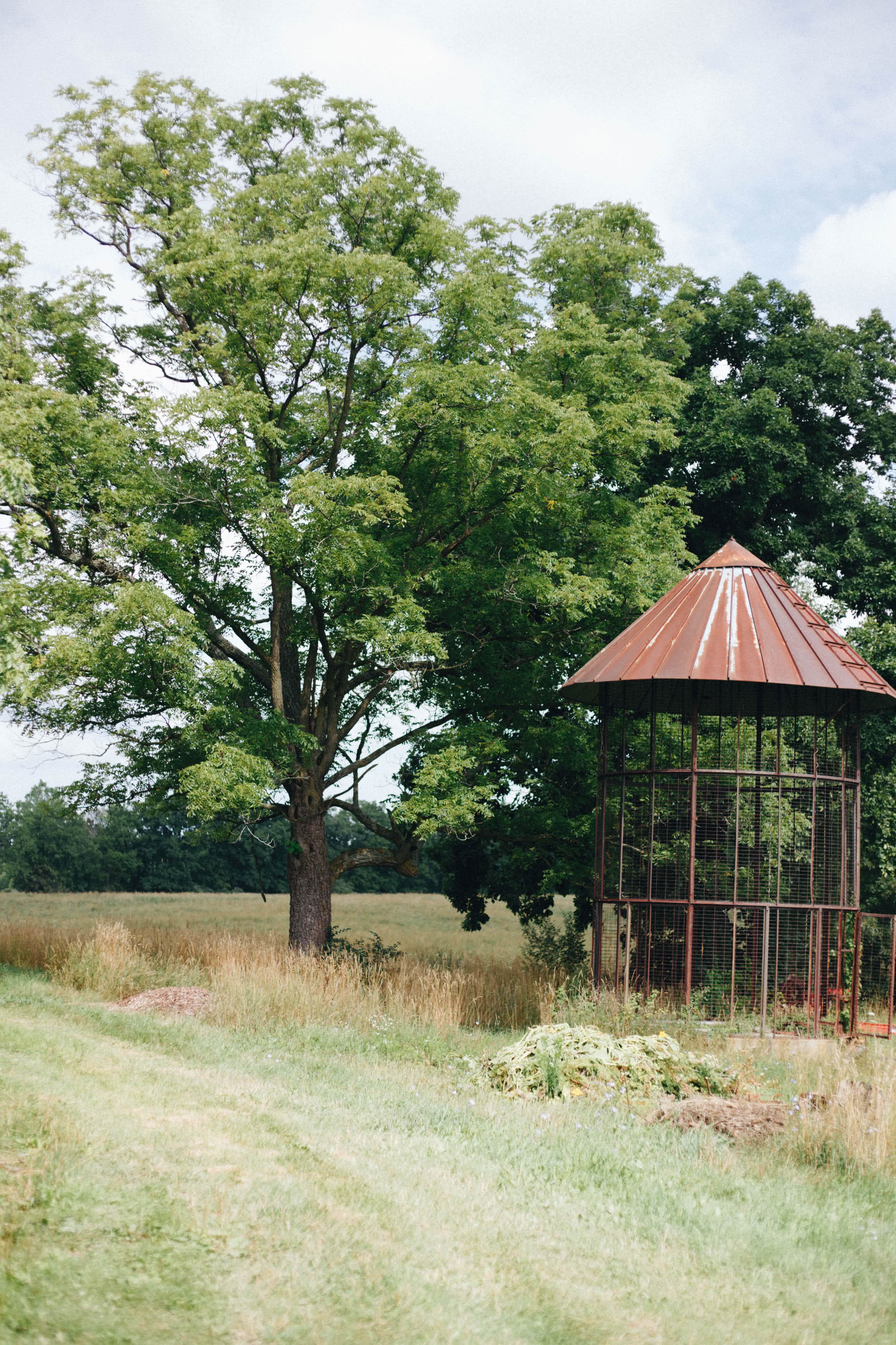 Nature and Nurture Farm