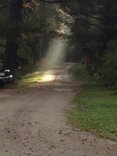 Morning sun spot on the lane