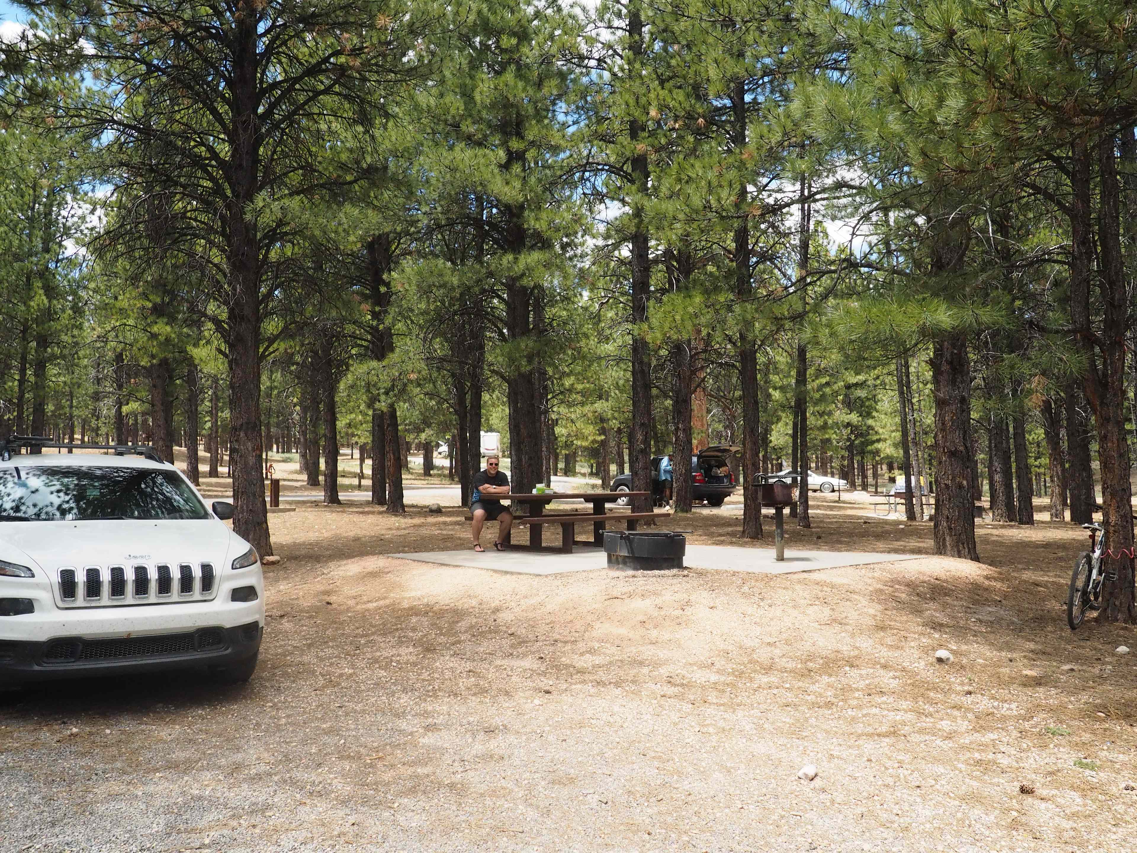 Our spacious campsite for the week
