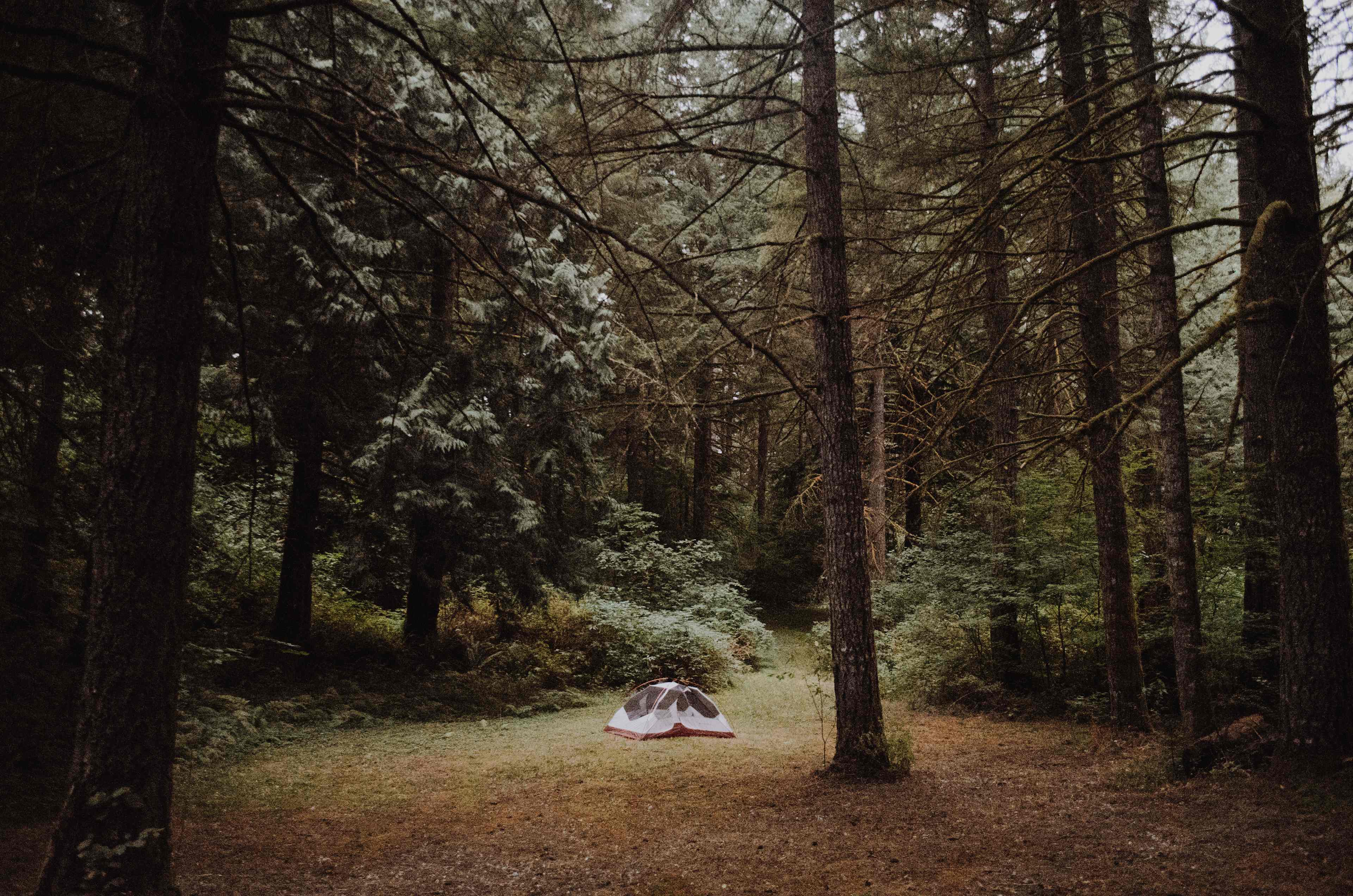 This is another spot that you can park your tent. 