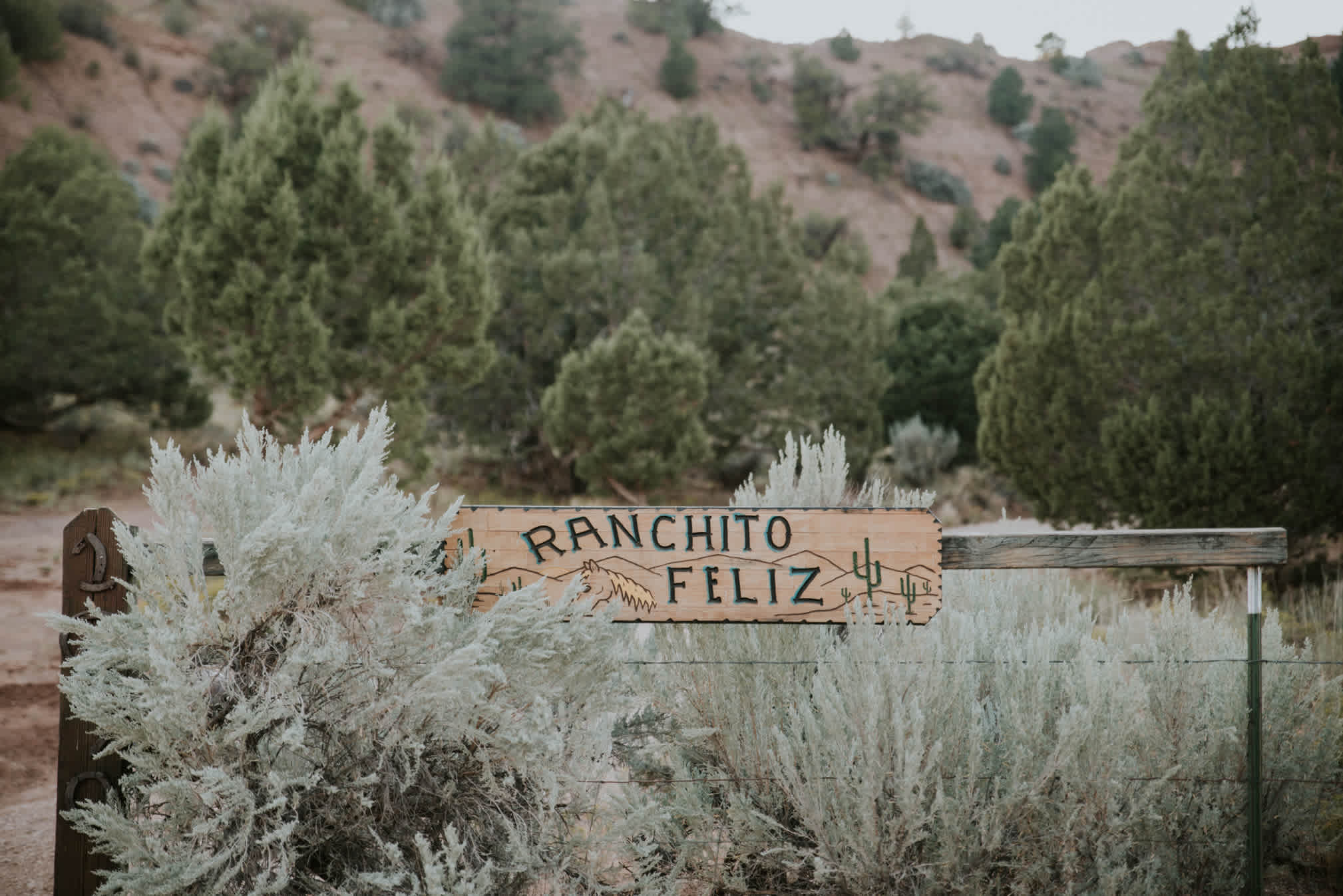 Ranchito Feliz! Small sign at the entrance, so keep a sharp eye out for it.