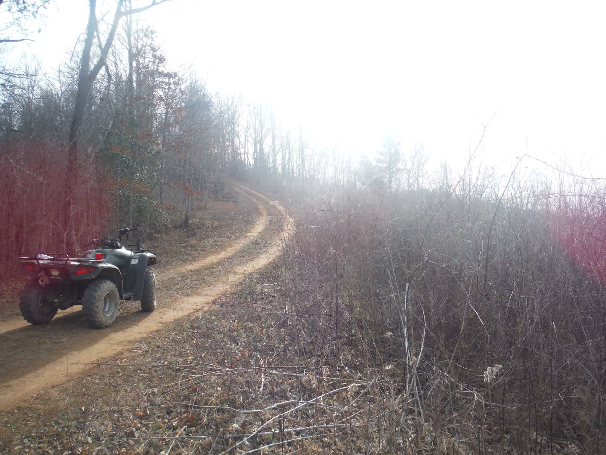 Road to the ridge!