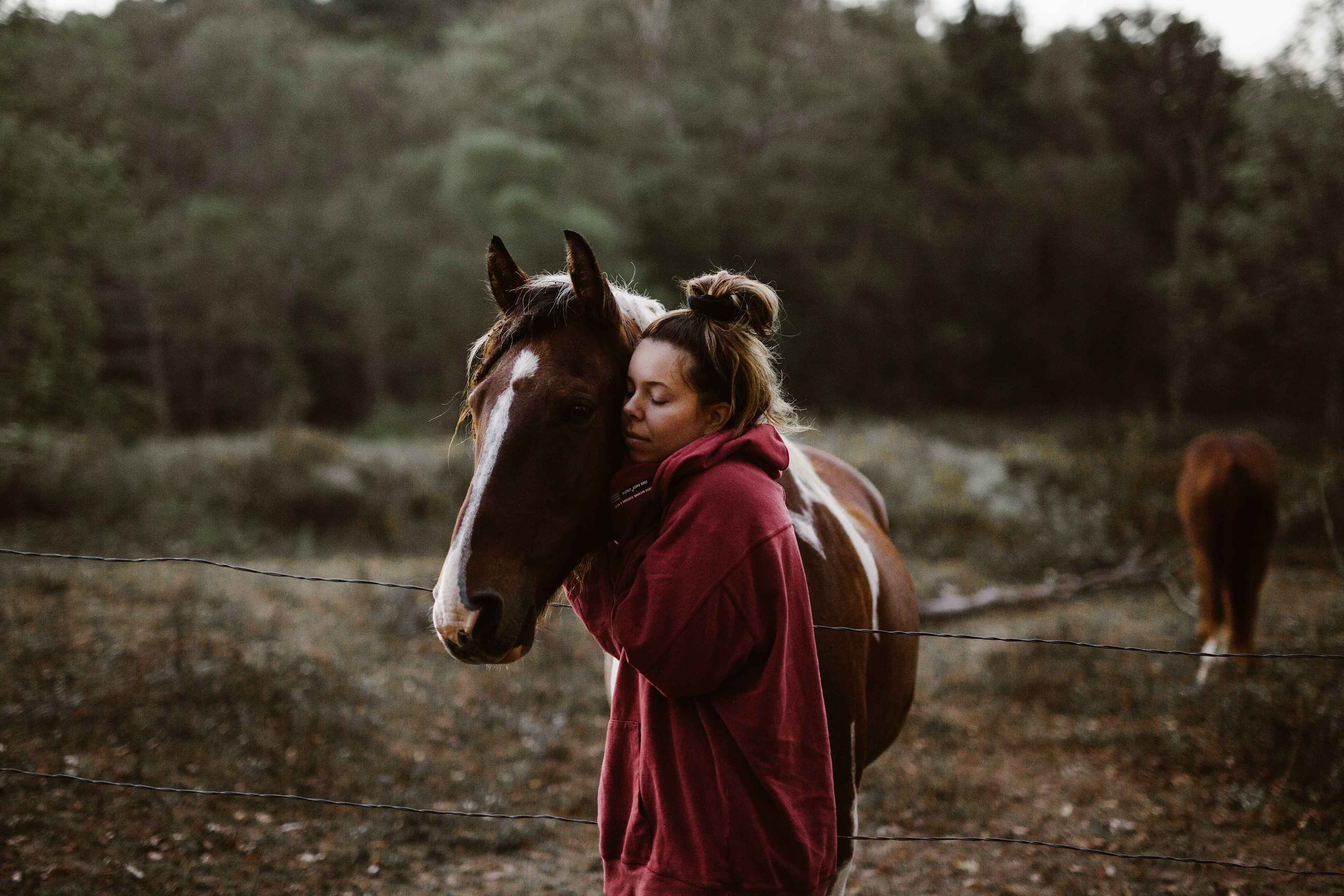 The most friendly horses.