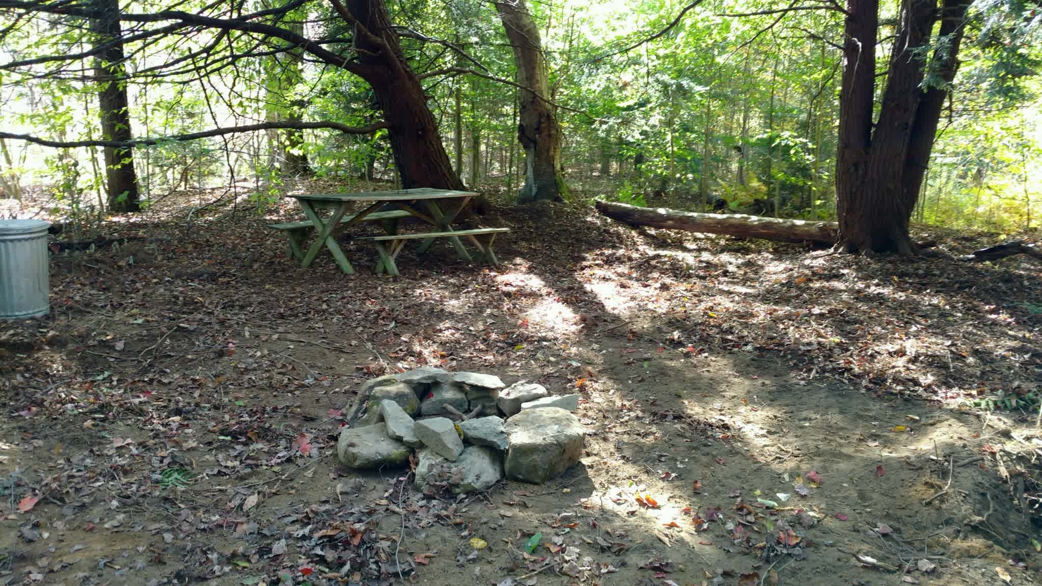 A view of our private campsite.