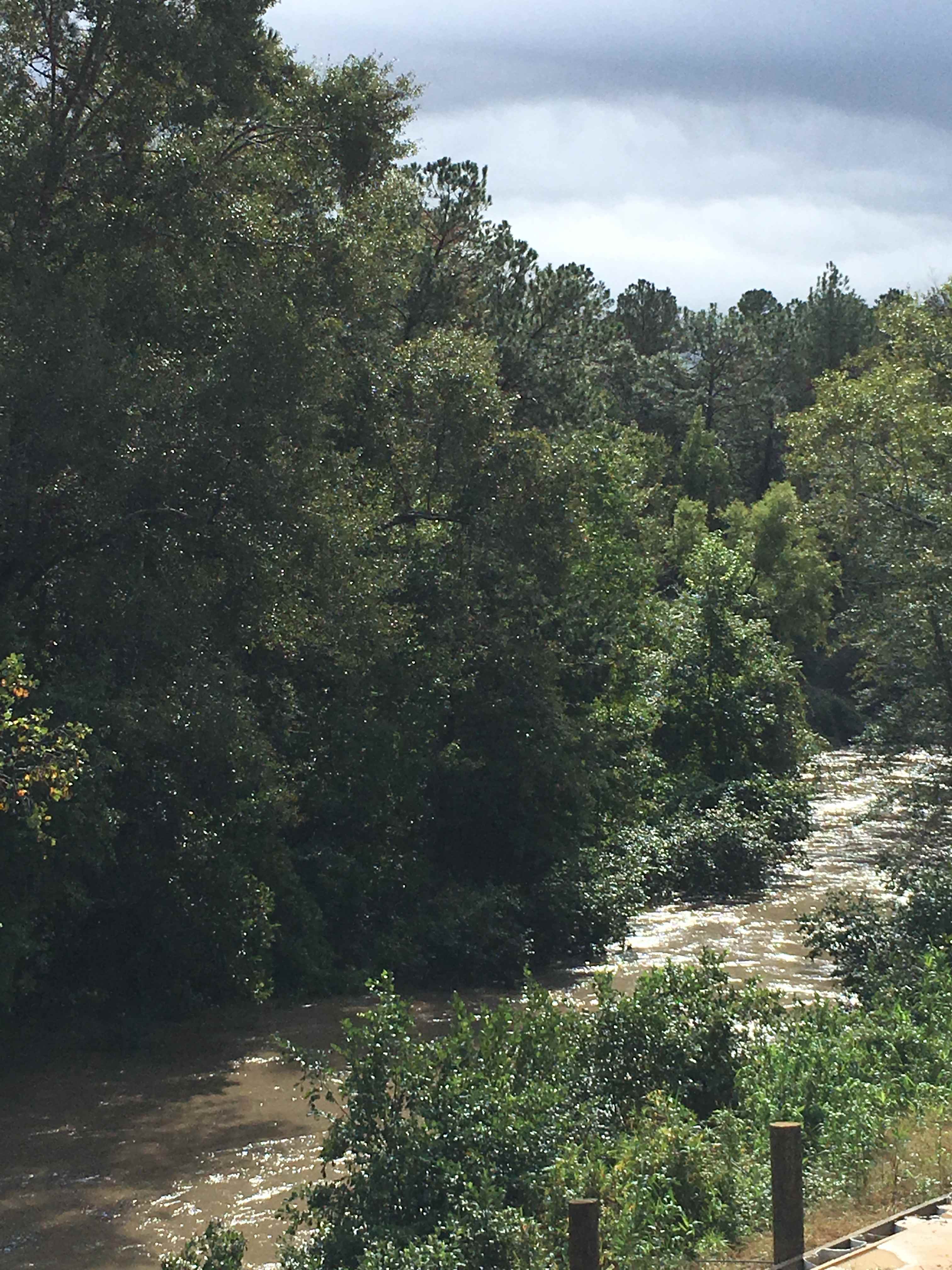 After a huge rain the creek has become a small river. 