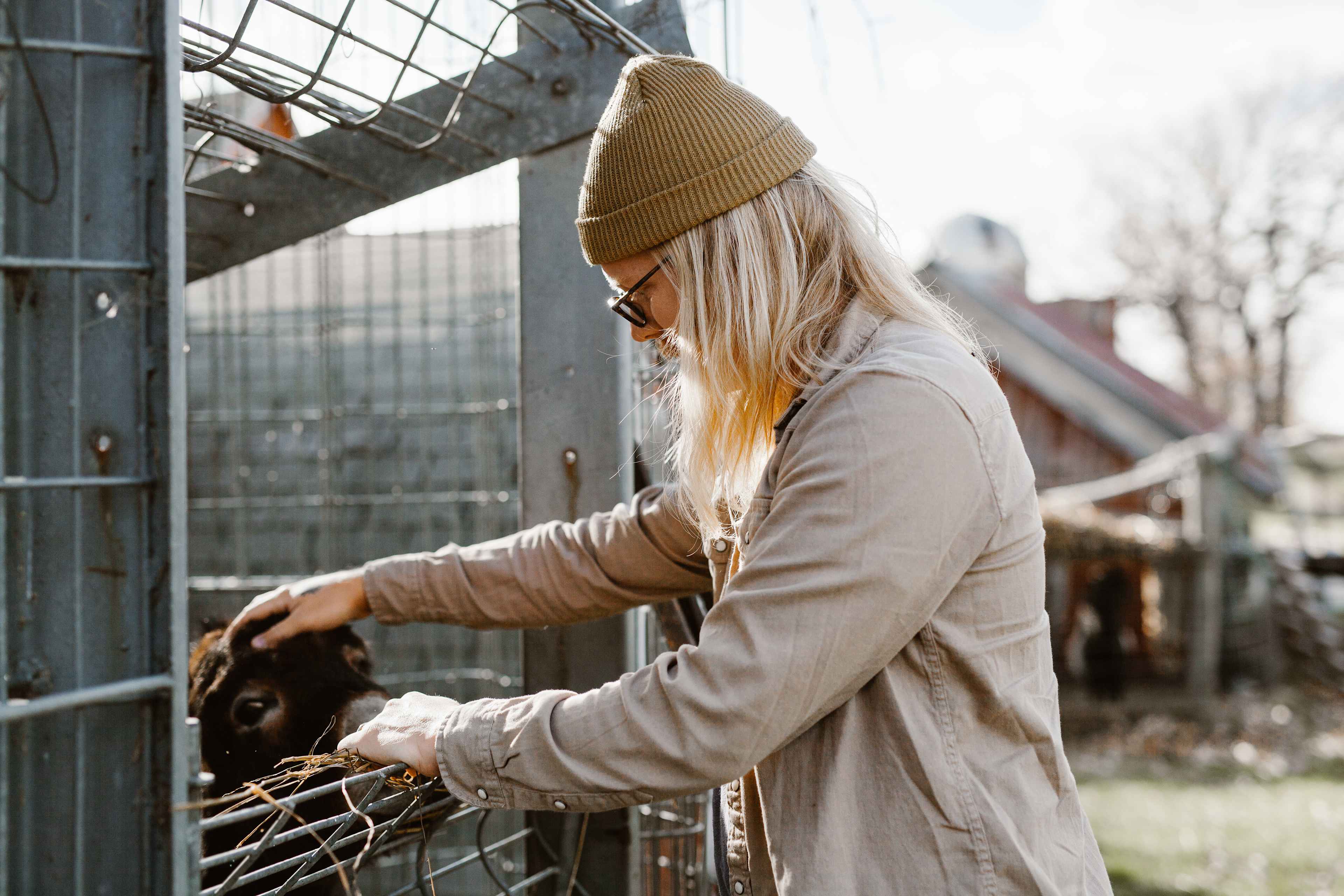 Pearsons Century Farm