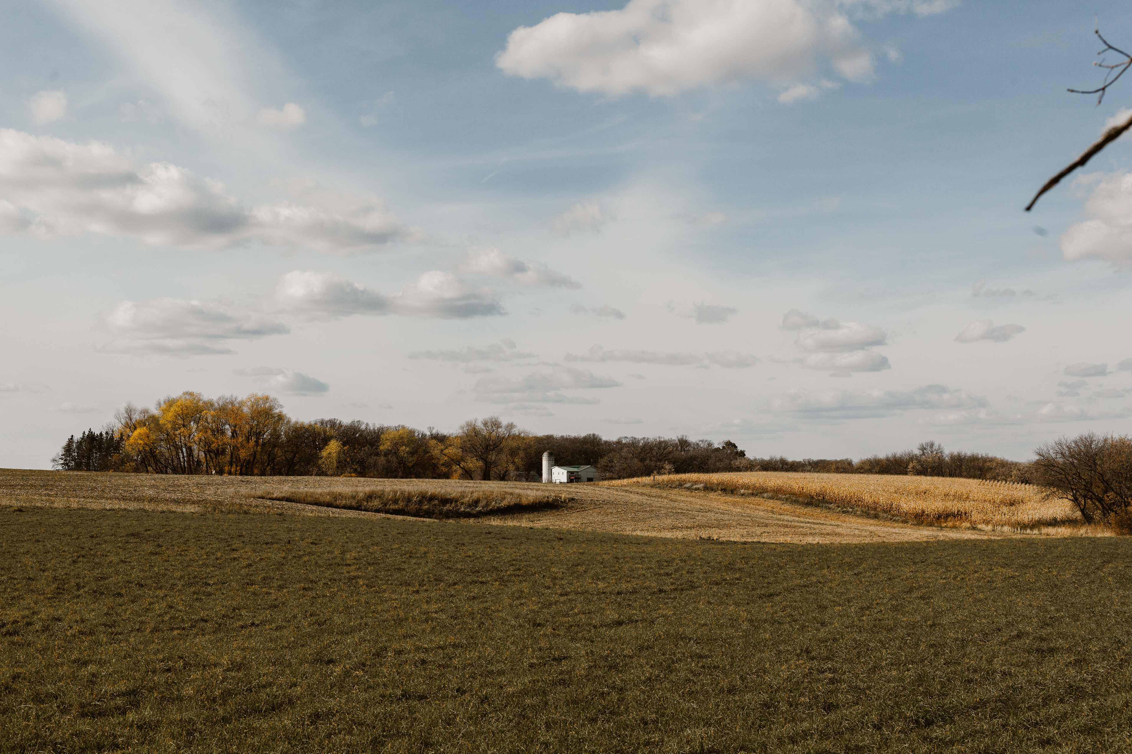Pearsons Century Farm