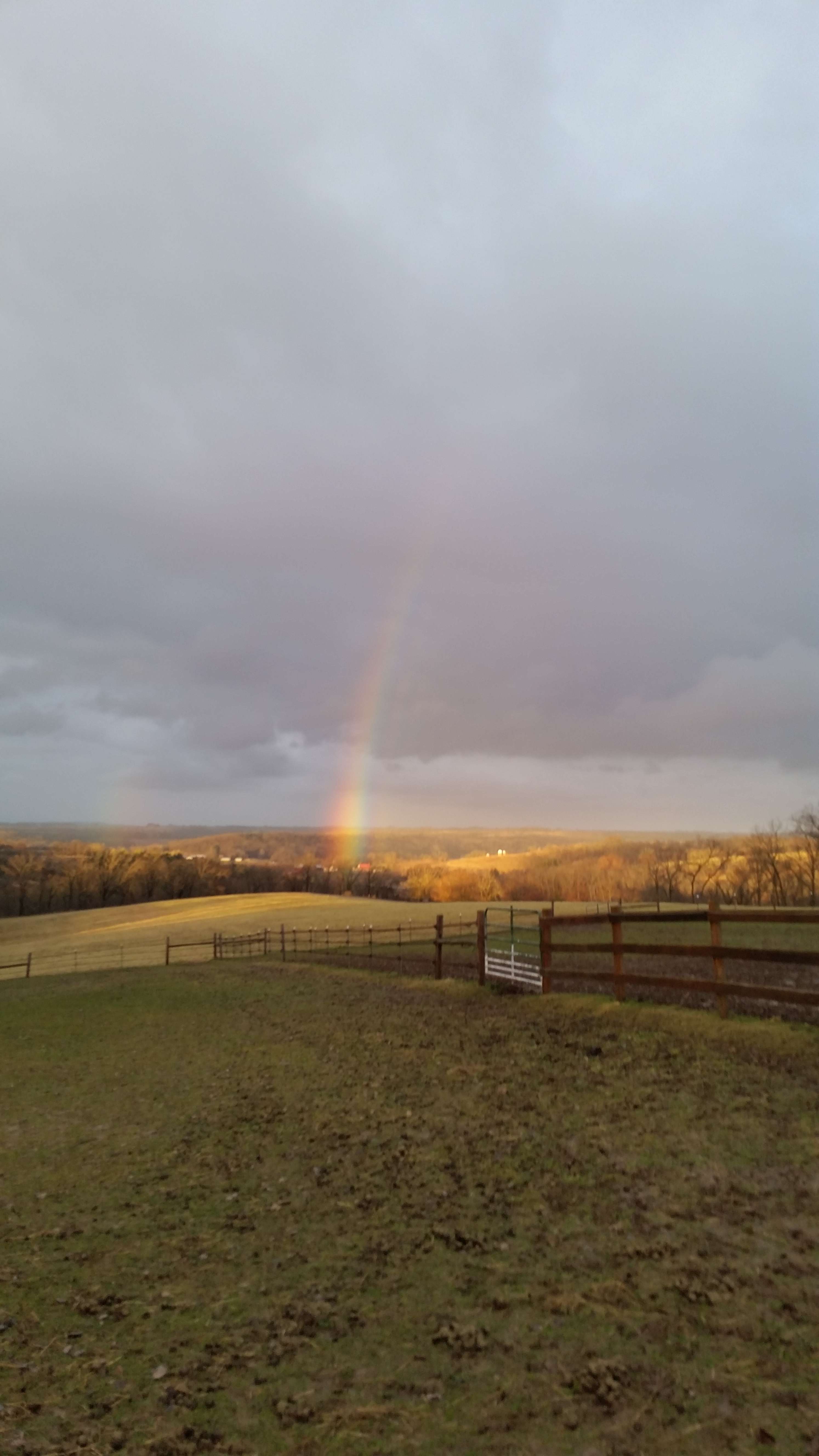 Breakaway Stables