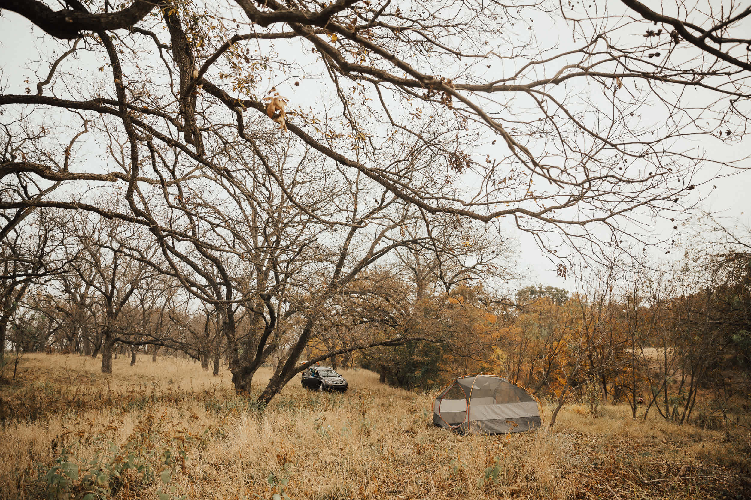 Low Gear Farmstead