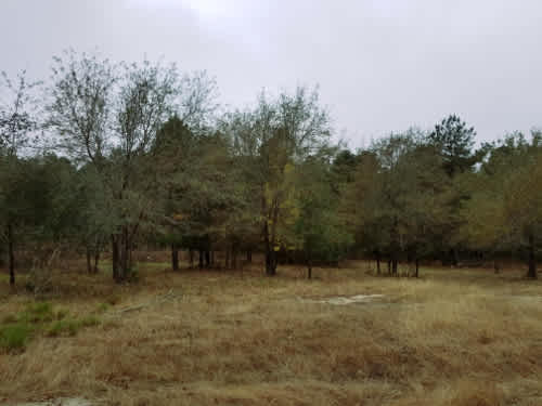 Mallard Haven