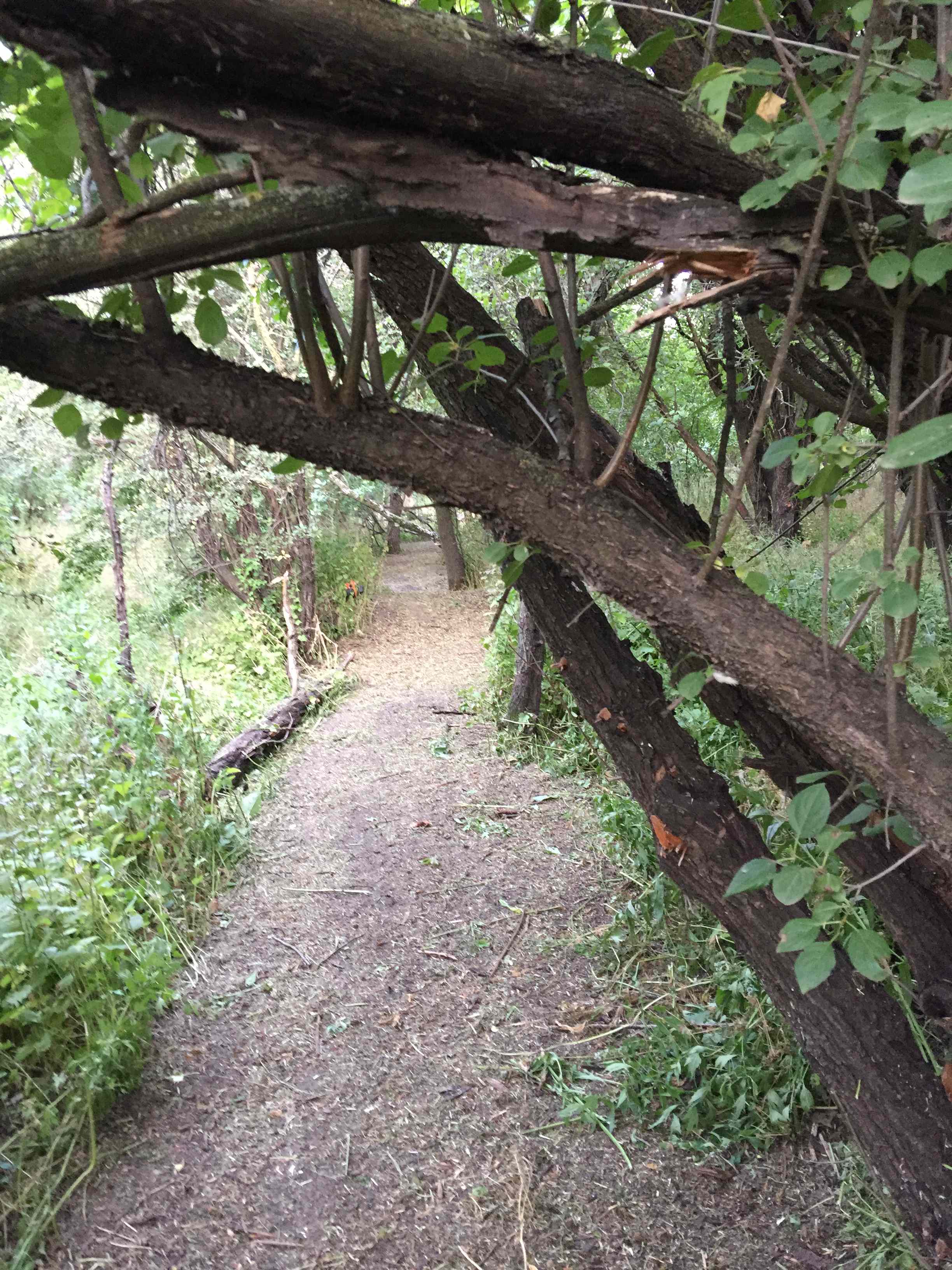 2.8 miles of magical trails. 
