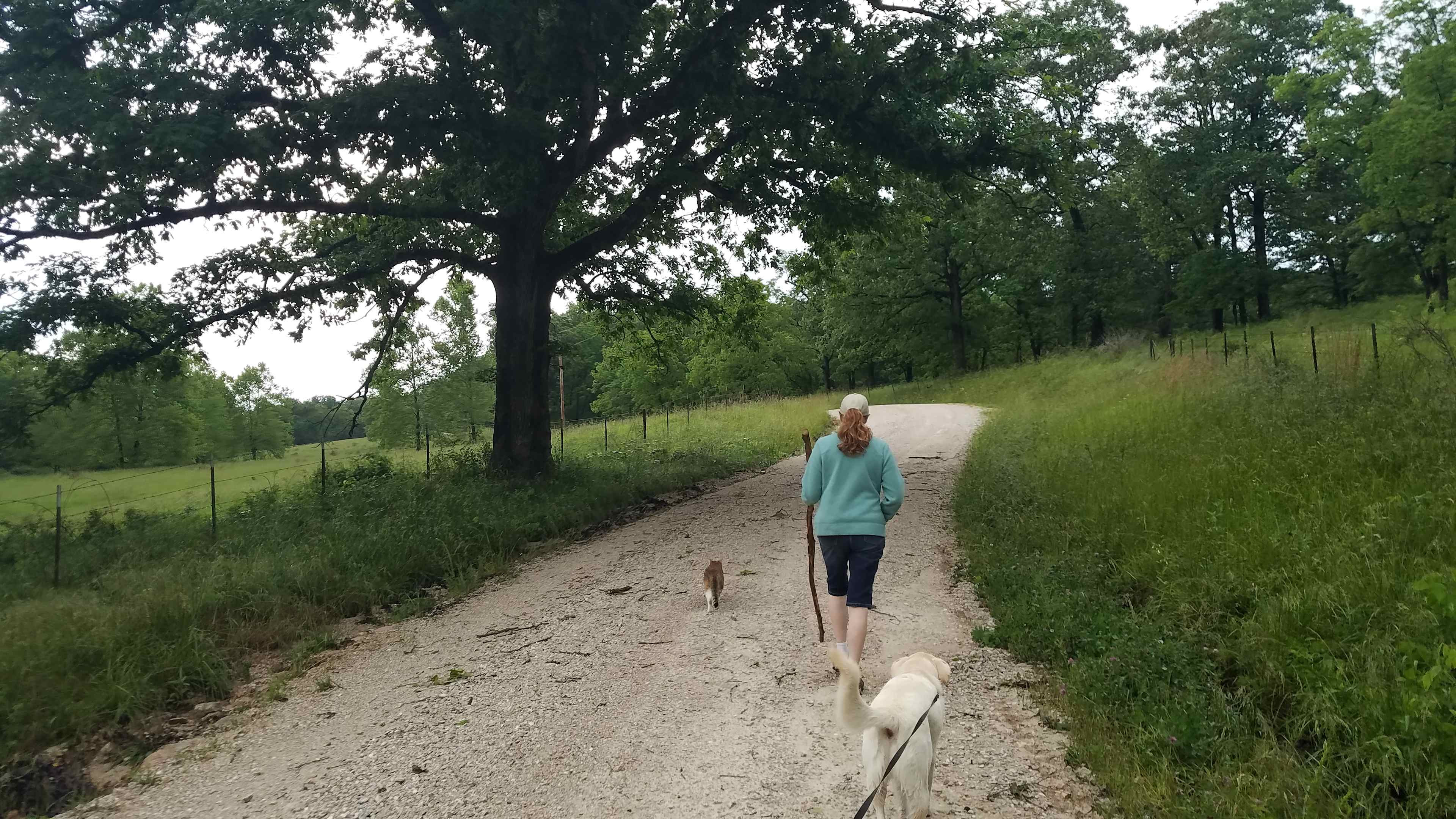 The roads on two sides of our property are very quiet, we often walk them encountering no or few vehicles 