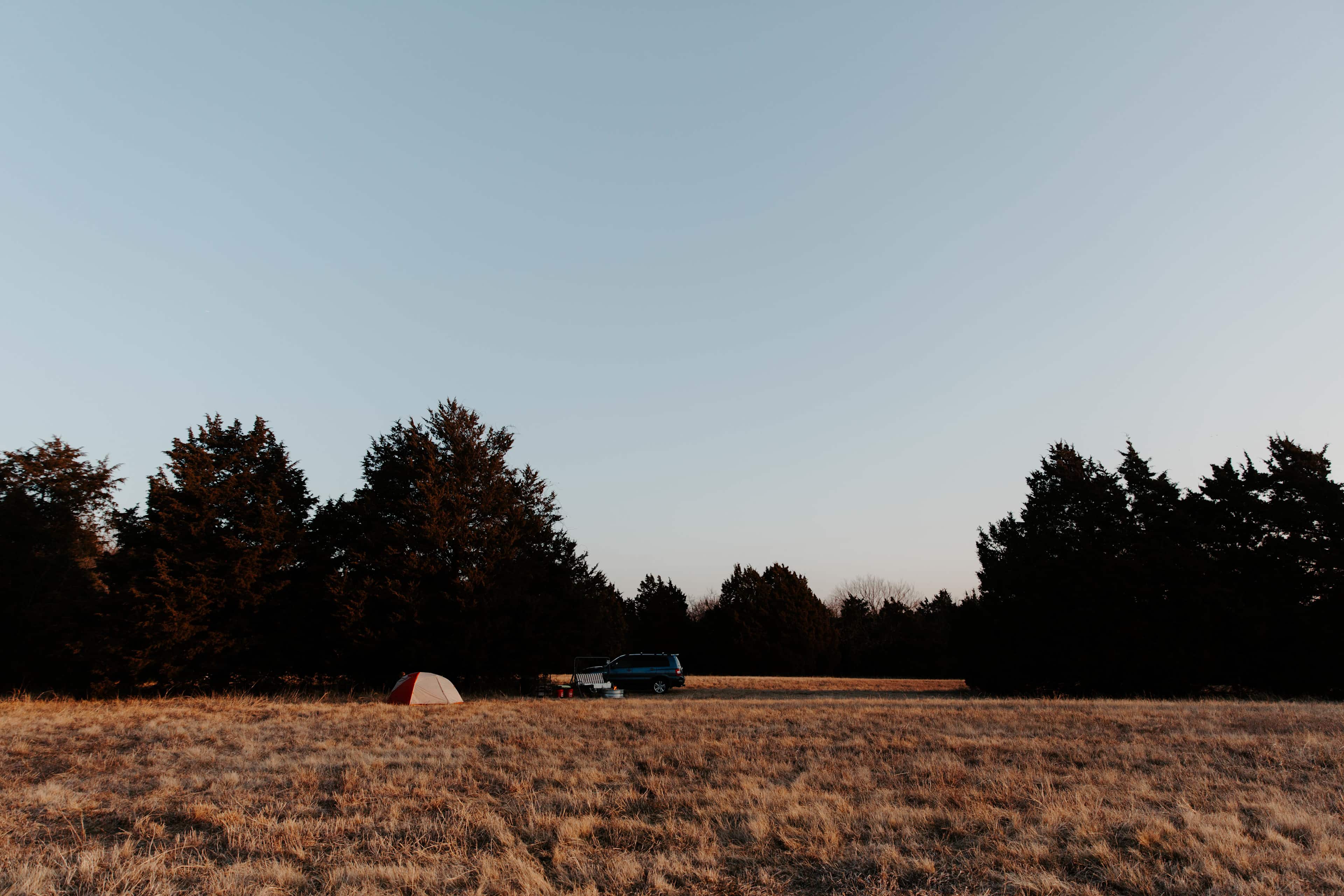 Looking at the open space.
