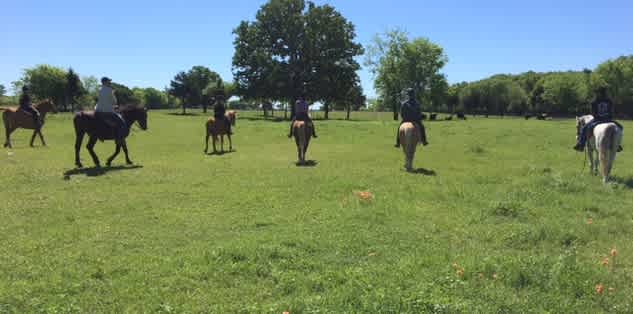 Trail riding at Golden Curls Ranch