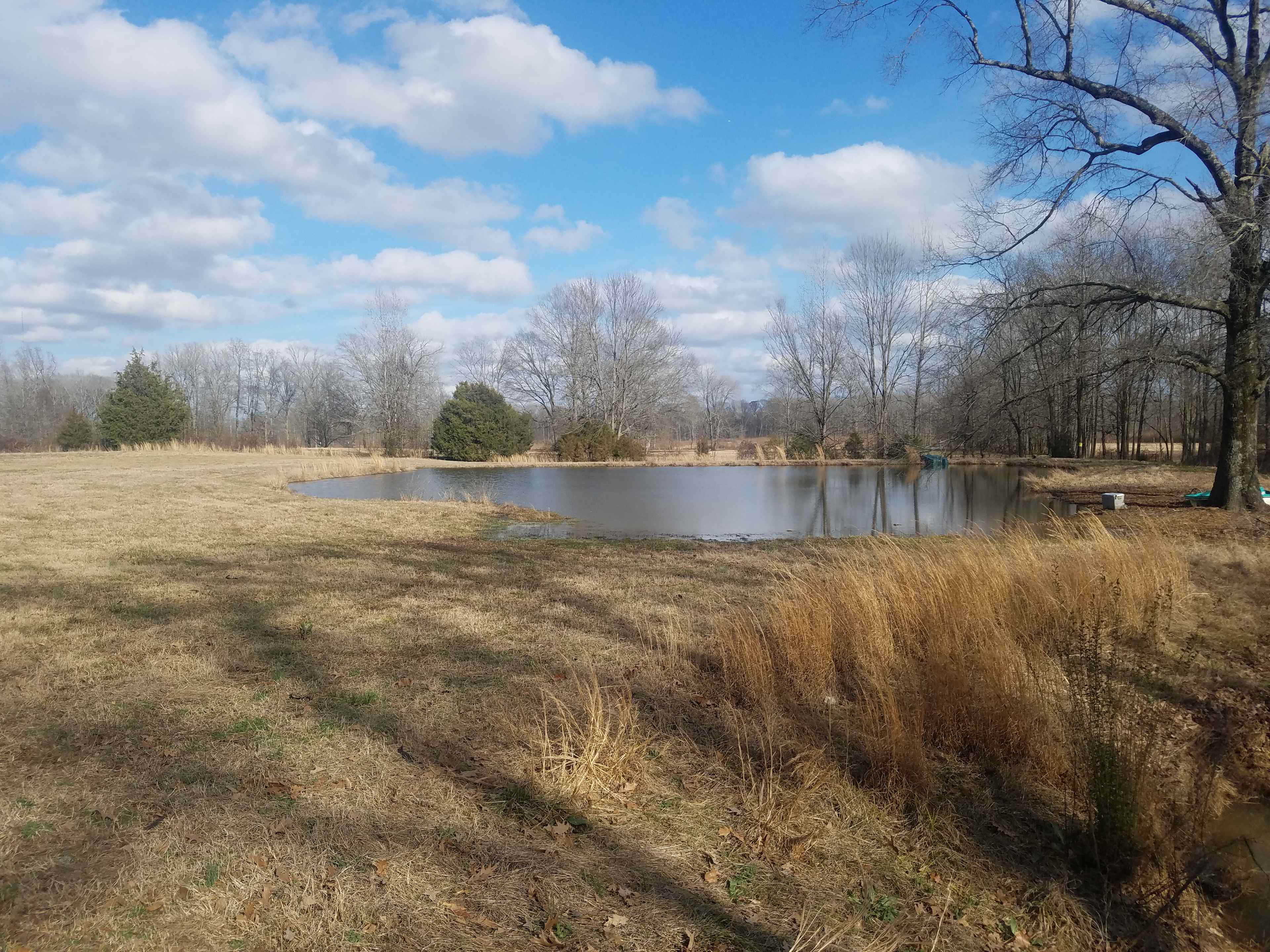The front pond