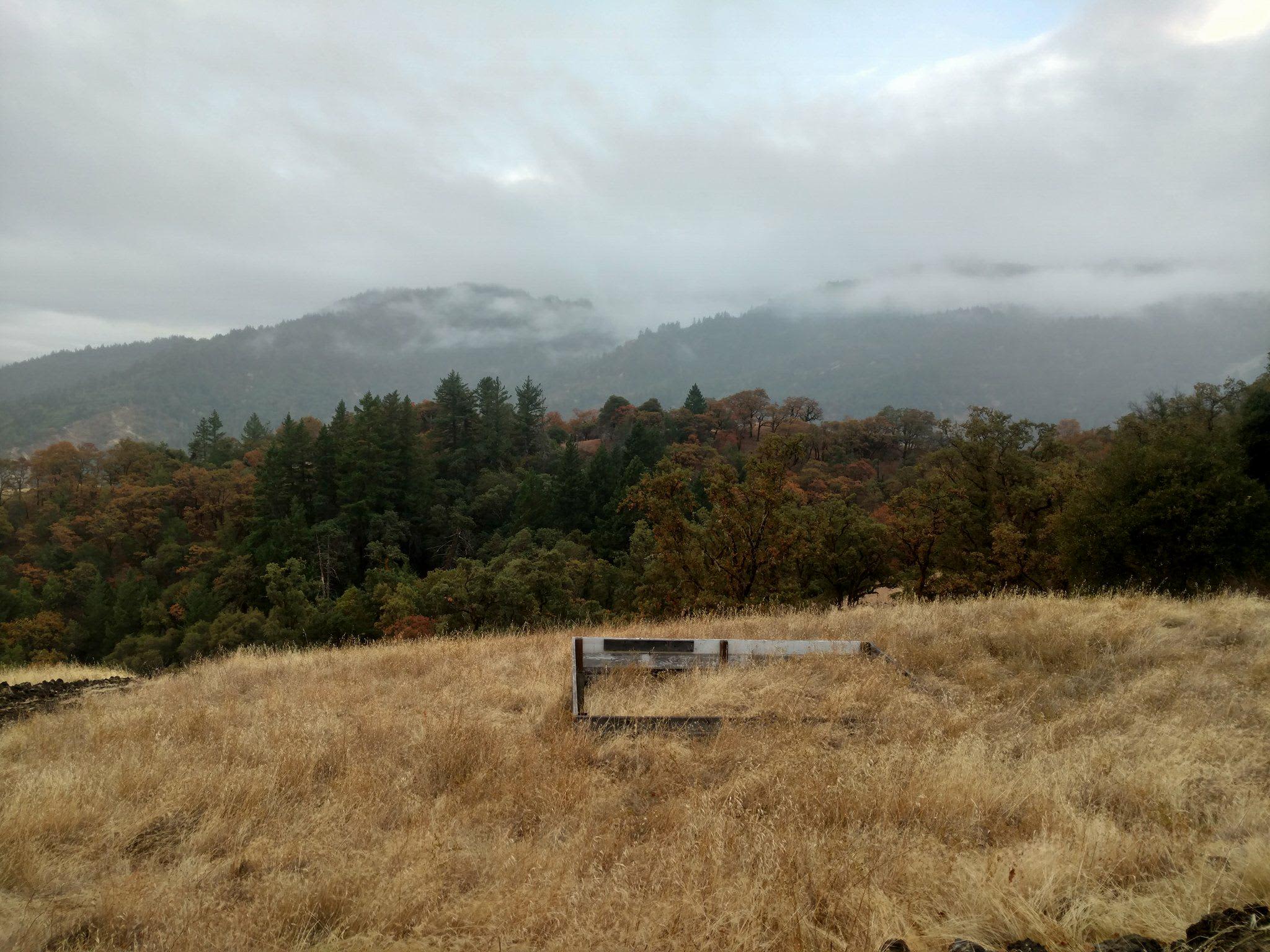 Looking southwest in early winter with misty skies.