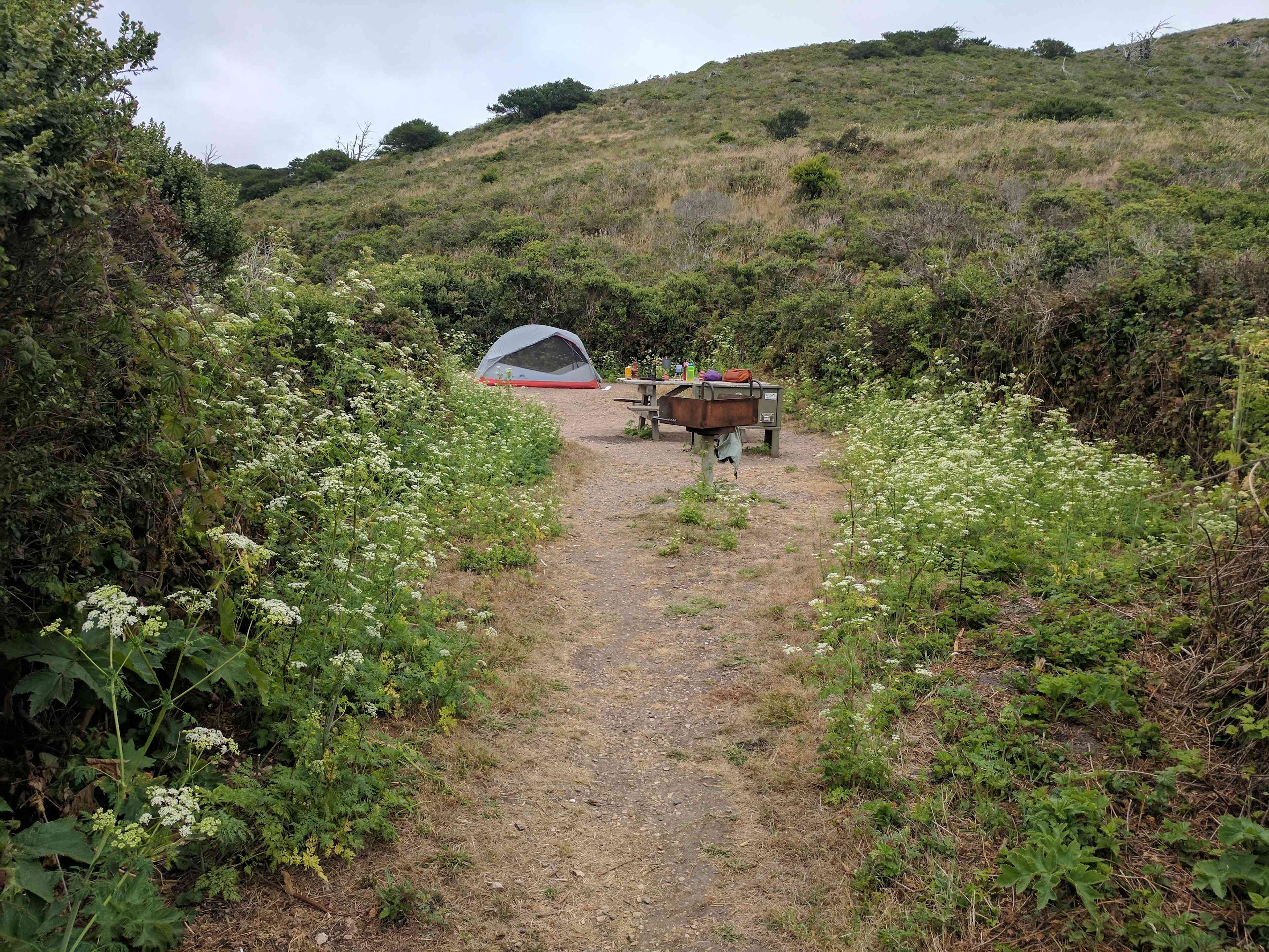 Great place for a beginners backpacking trip. We stayed at campsite #6. It was very secluded and quiet. You can walk from the coast camp sites on a short trail to the beach. Huge Beach with beautiful sand and not too many people around. 

