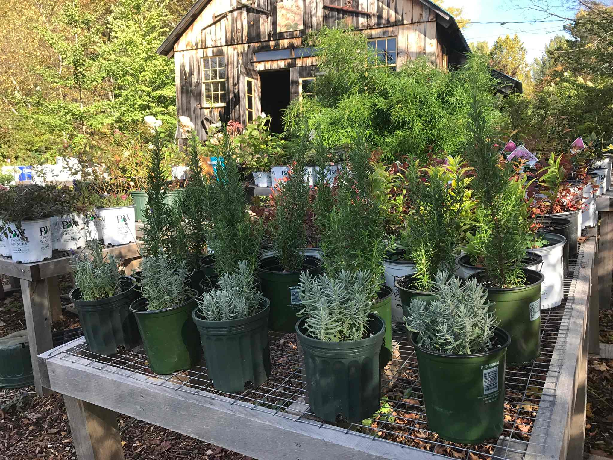 Learn something new about growing plants.