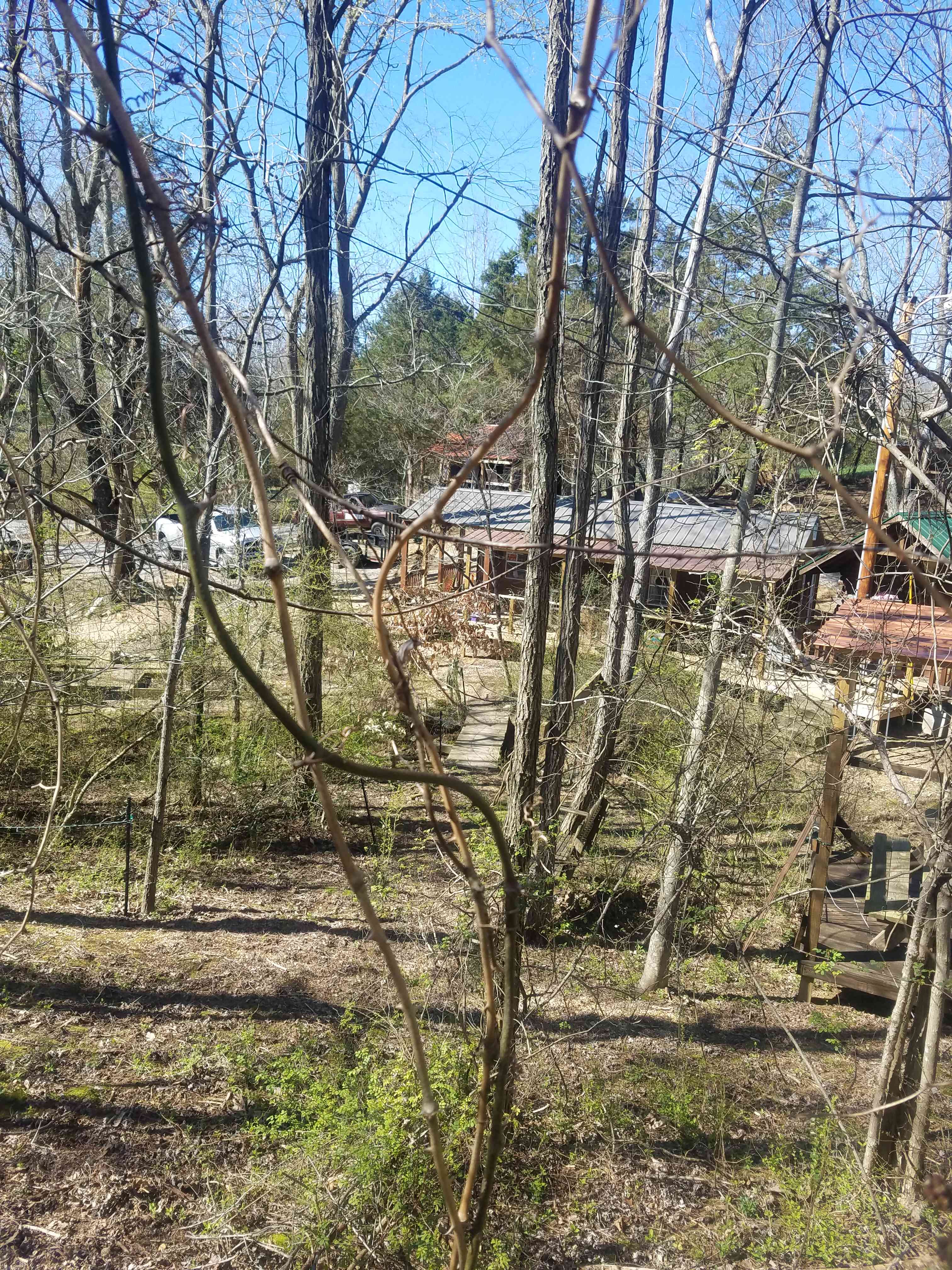 Up on the hill in the woods looking down.