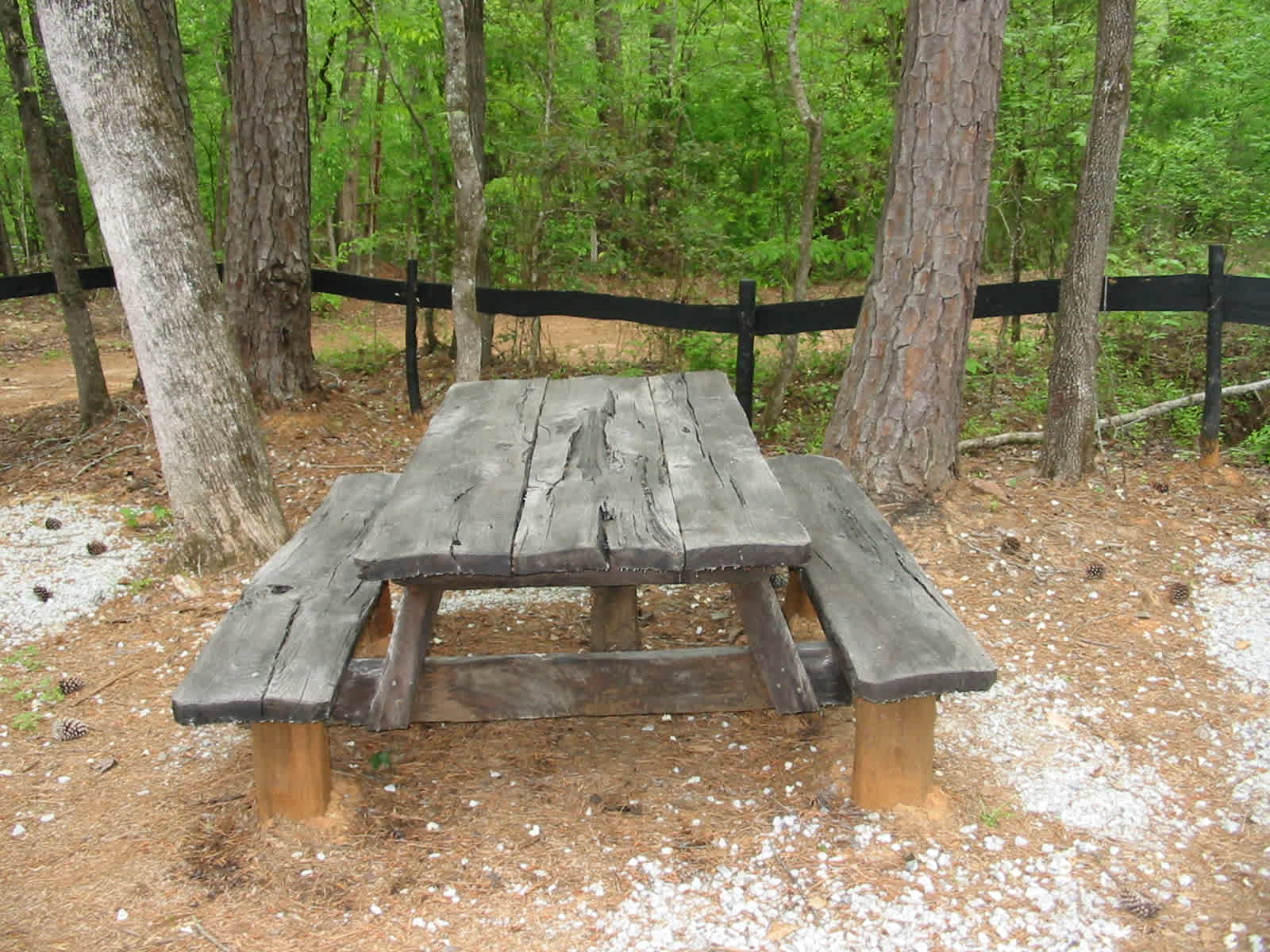 Picnic table and post were milled freehand from a fallen tree with my chainsaw. 