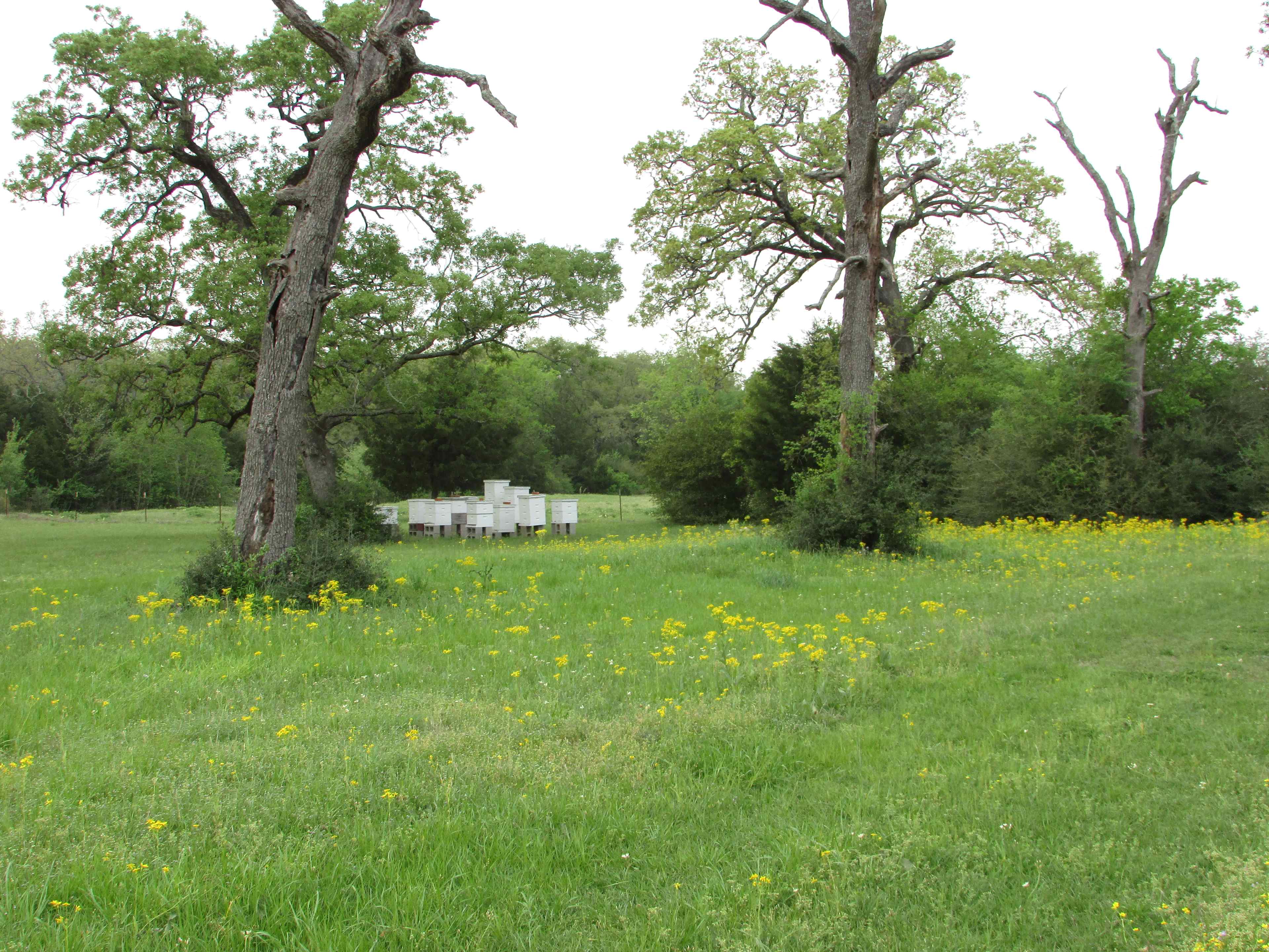 The Morris Manor and Retreat