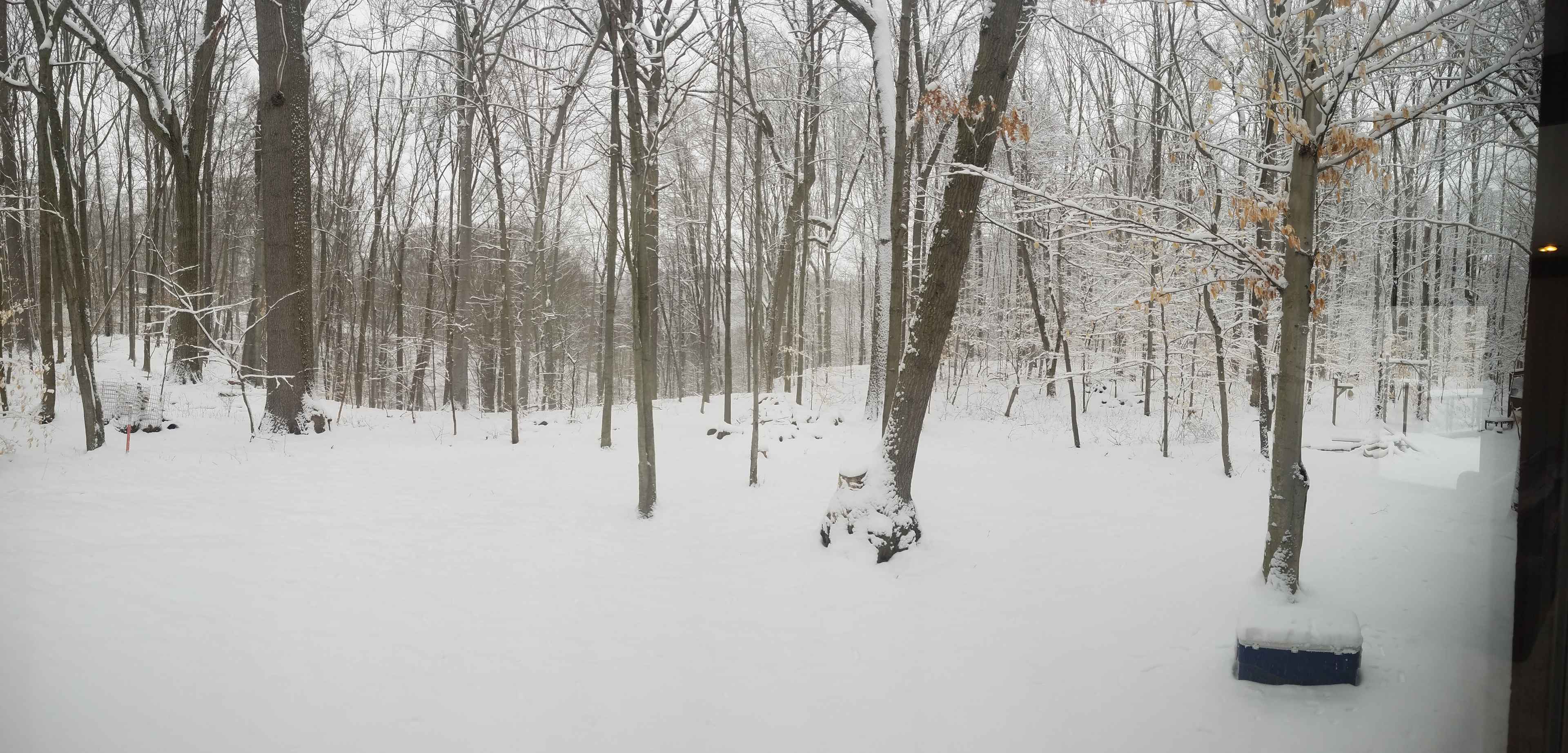 Winter