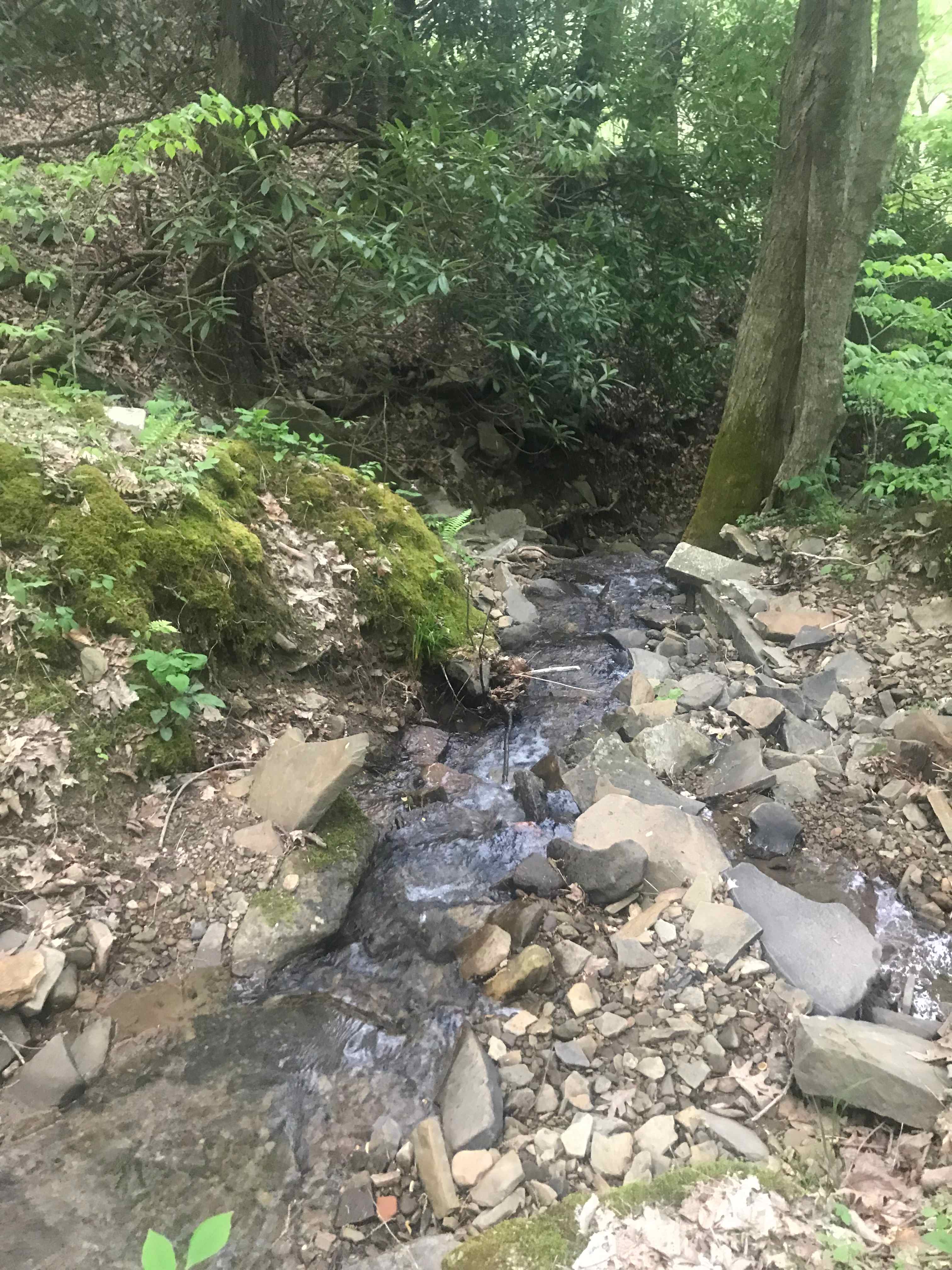 Small Stream by the Flat Land Campsites