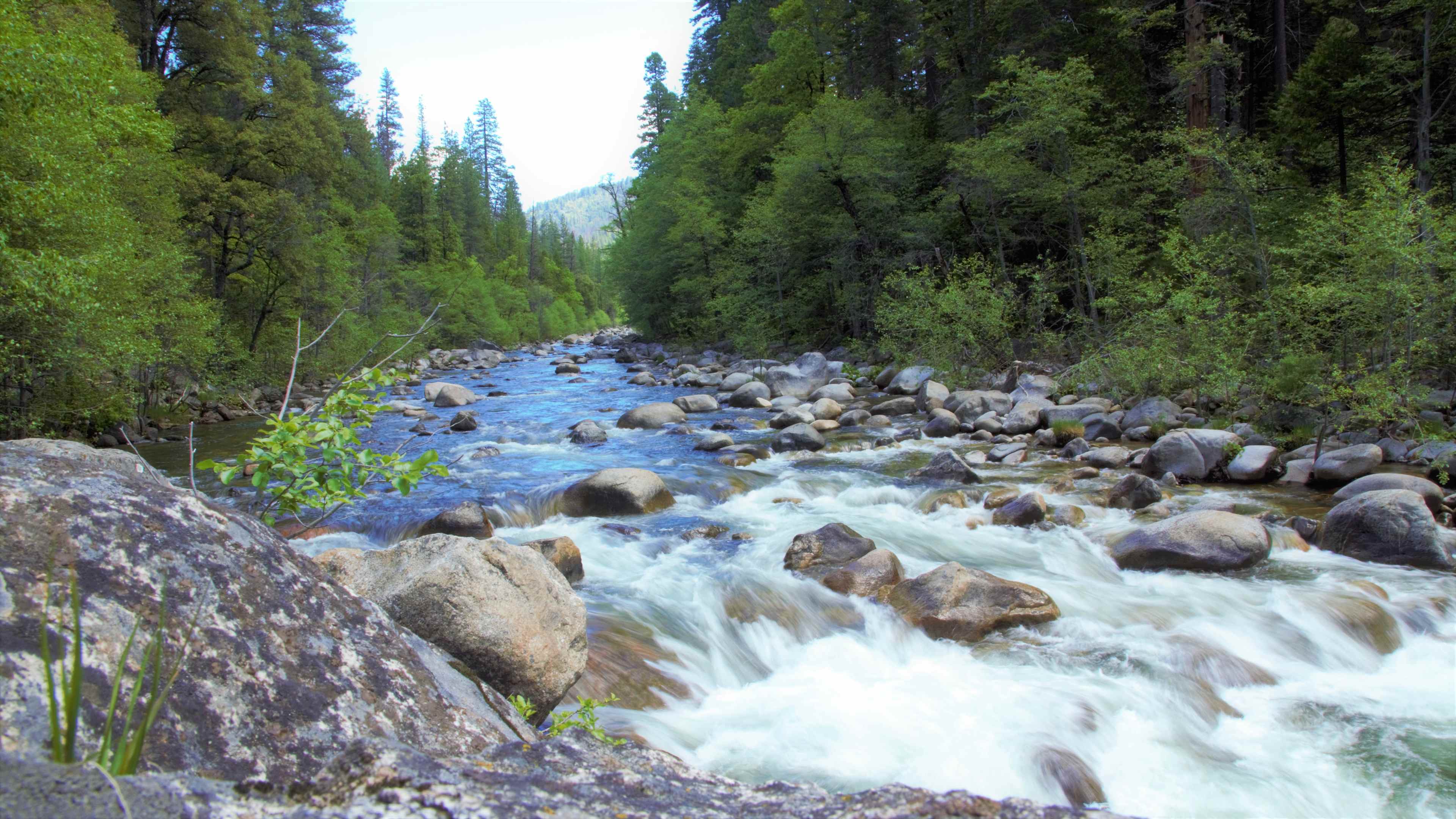 Wakkaluu Hepyoo River