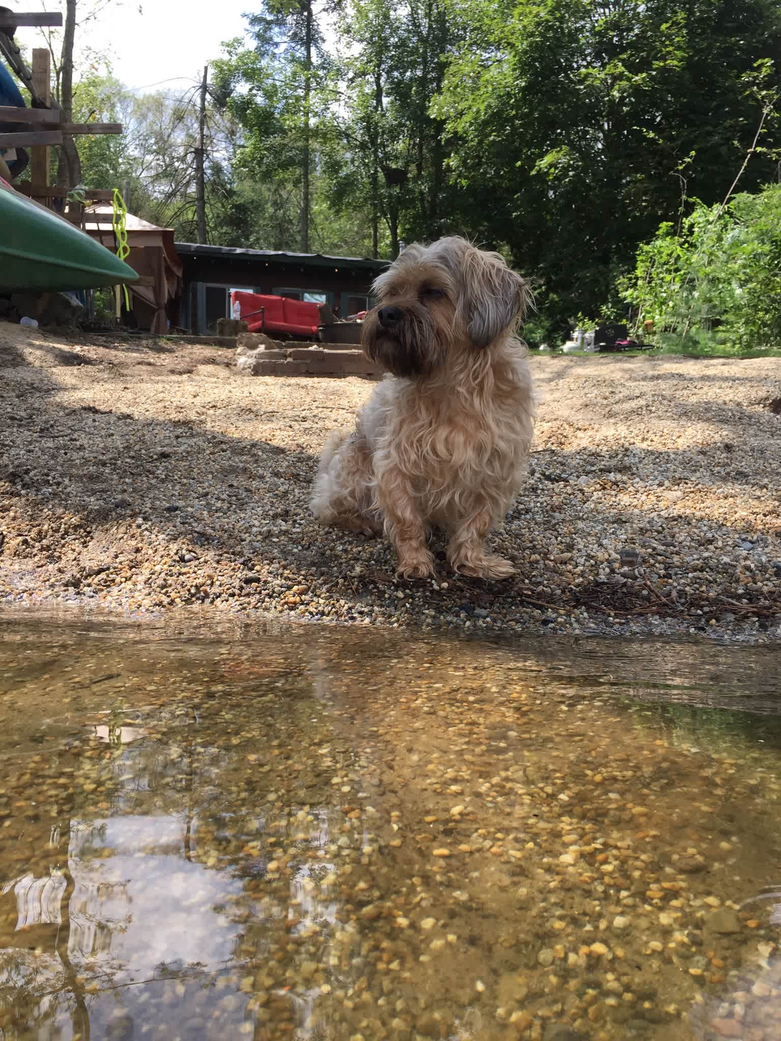 Dogs welcome! For sale $230K on Zillow