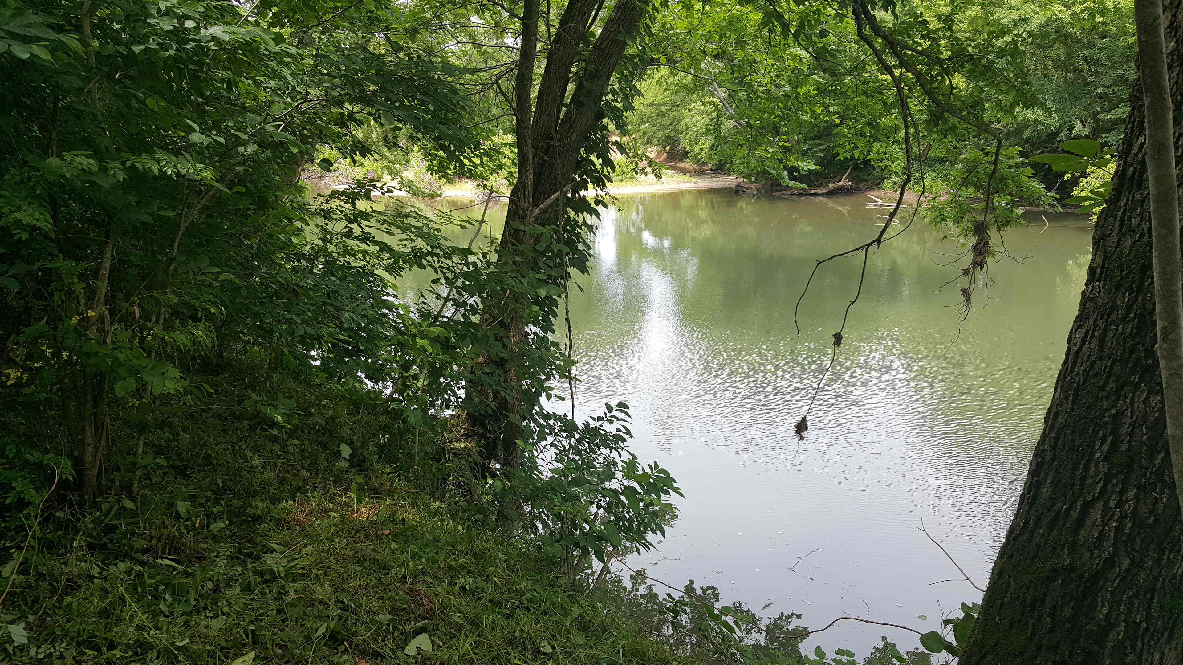 River Bluff Woods