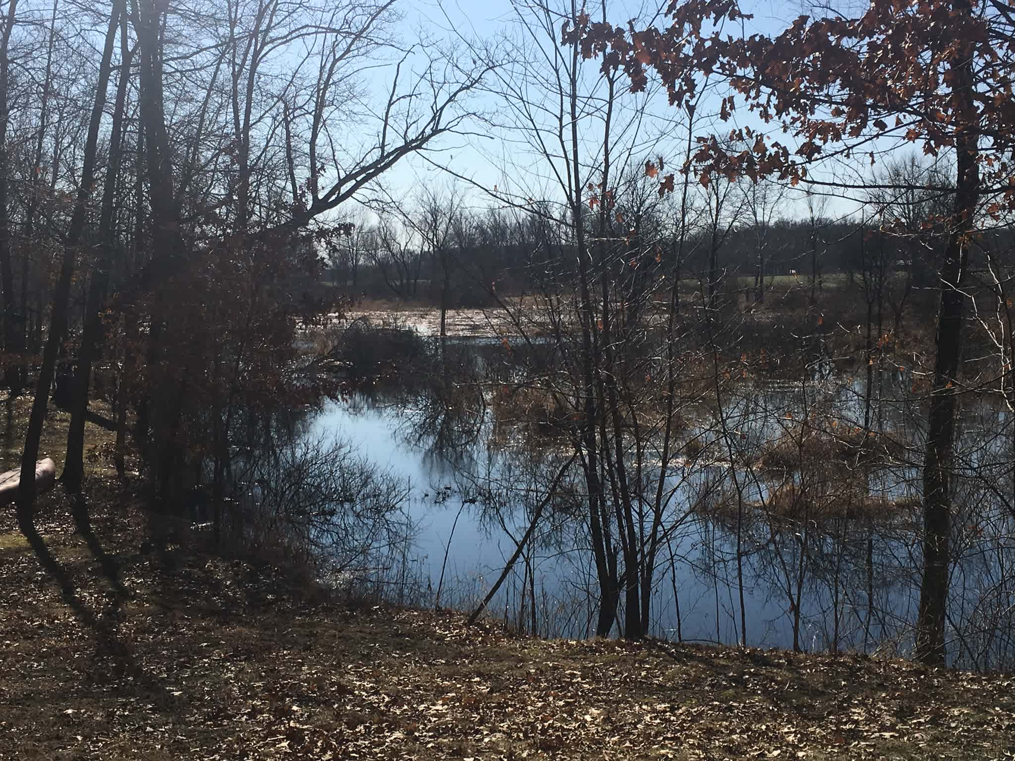 This is a view of the channel. Of course this is in the spring when we have an abundance of water. The little channel doesn’t always look like this. All depends on the water level