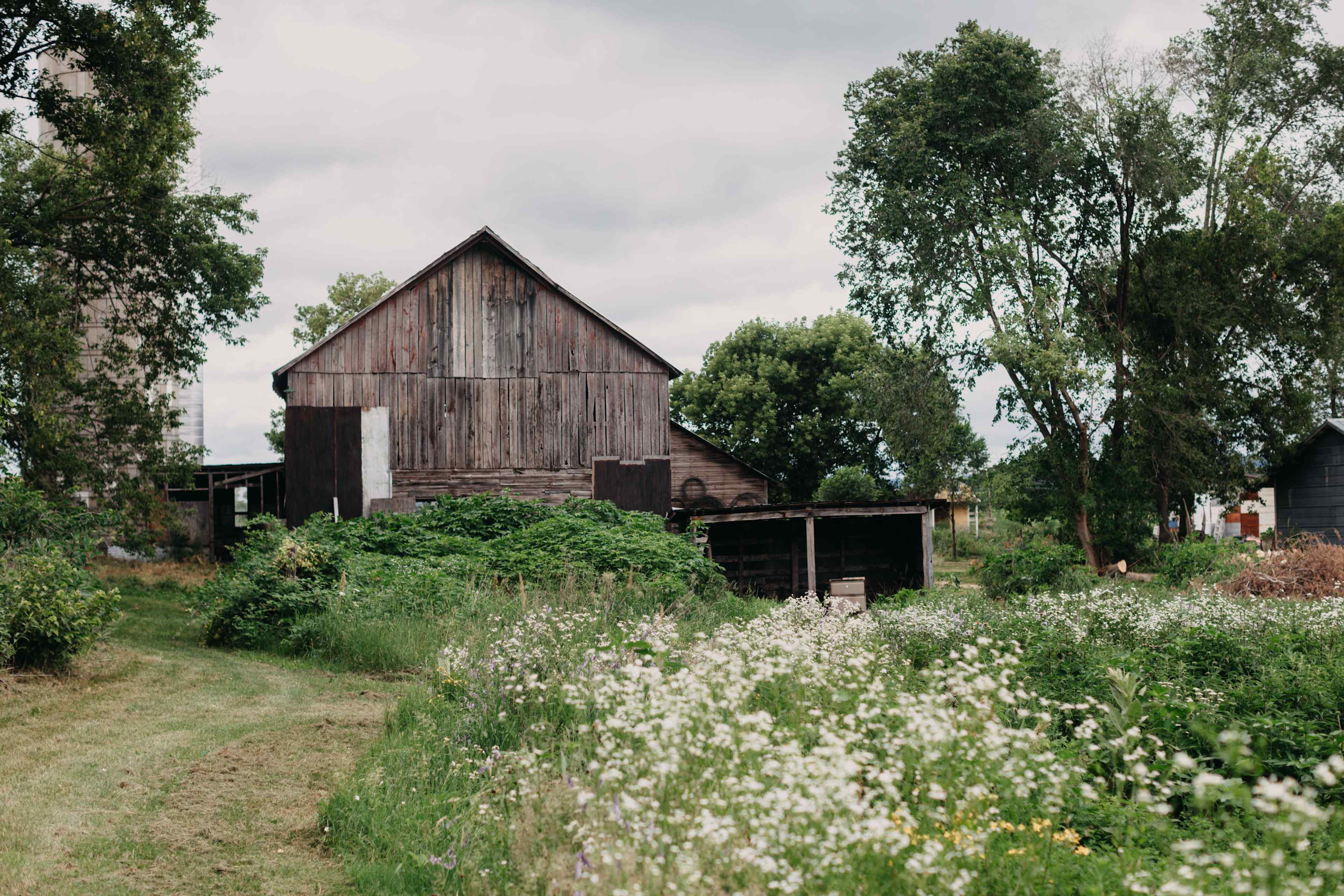 The barn and surrounding fields.