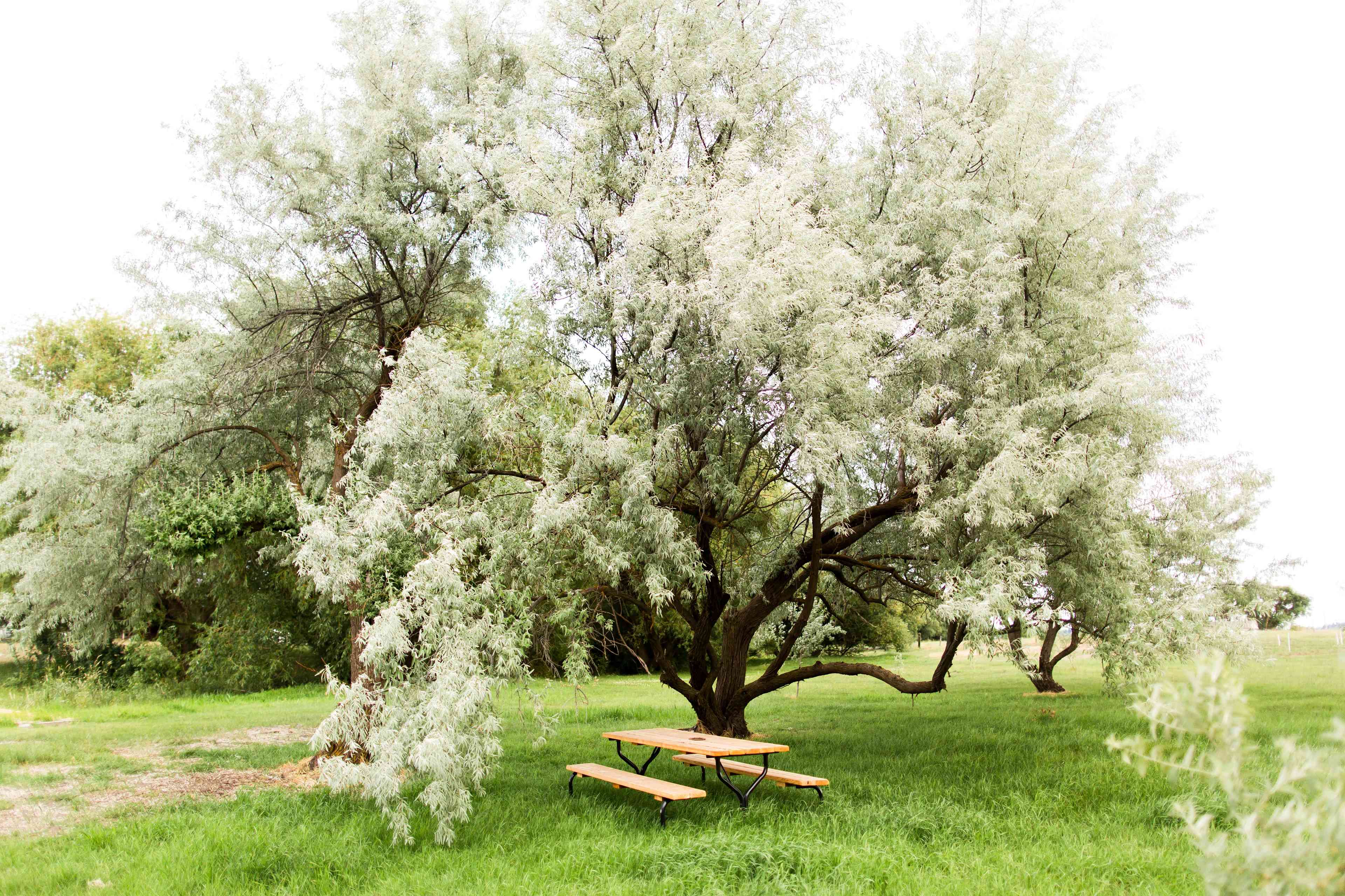 Willow Creek Retreat