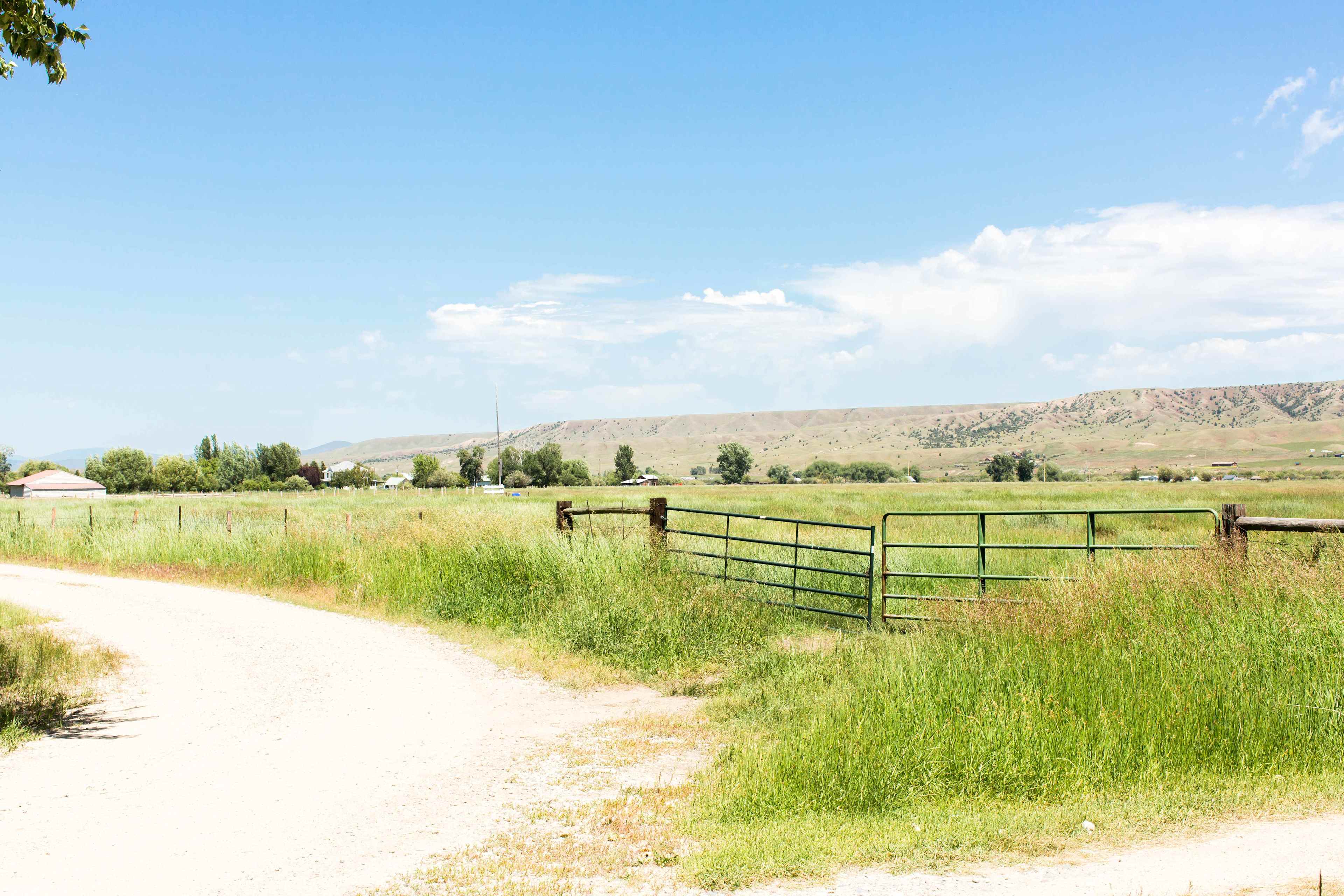 Hidden Meadow Ranch