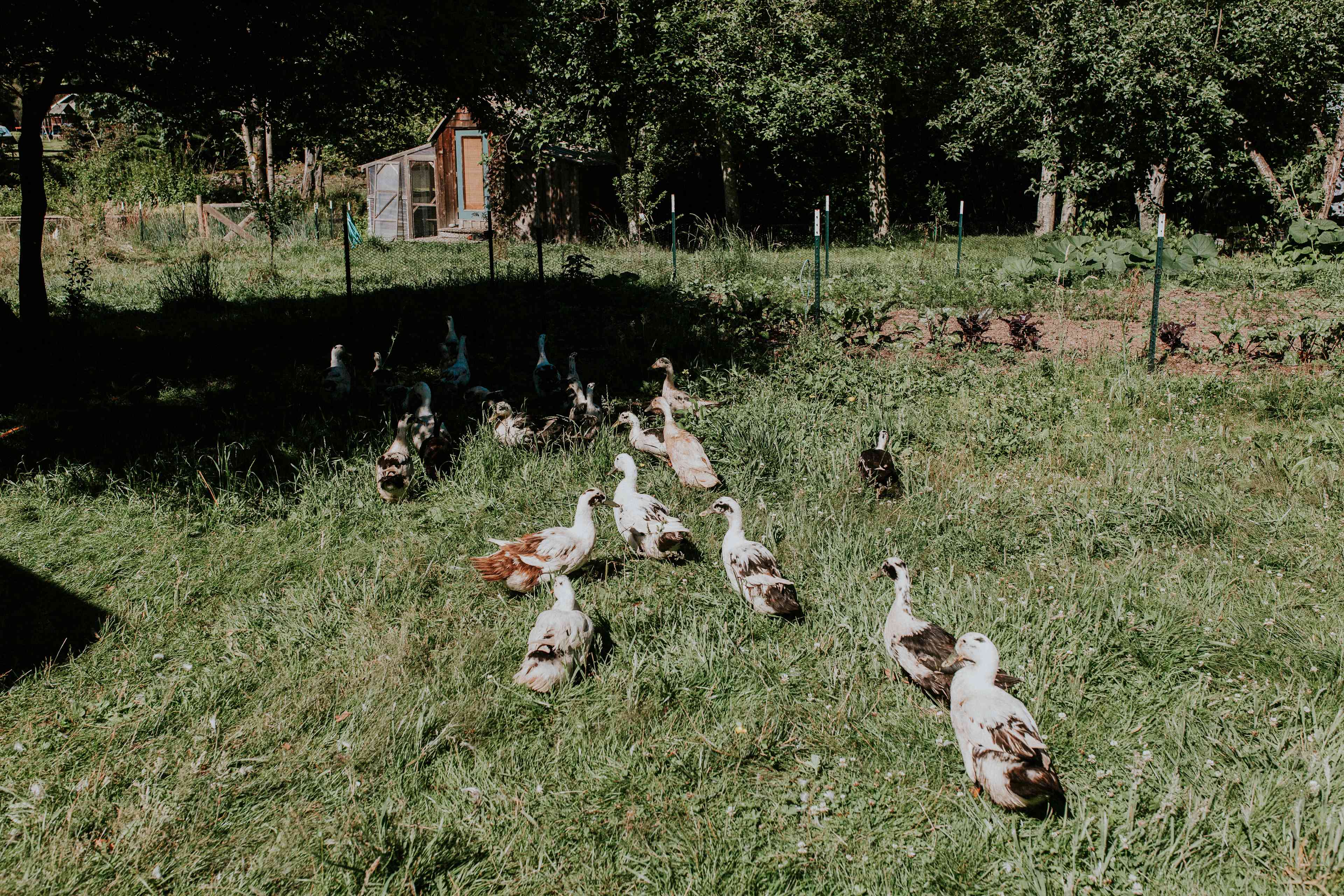 Hawthorn Farm