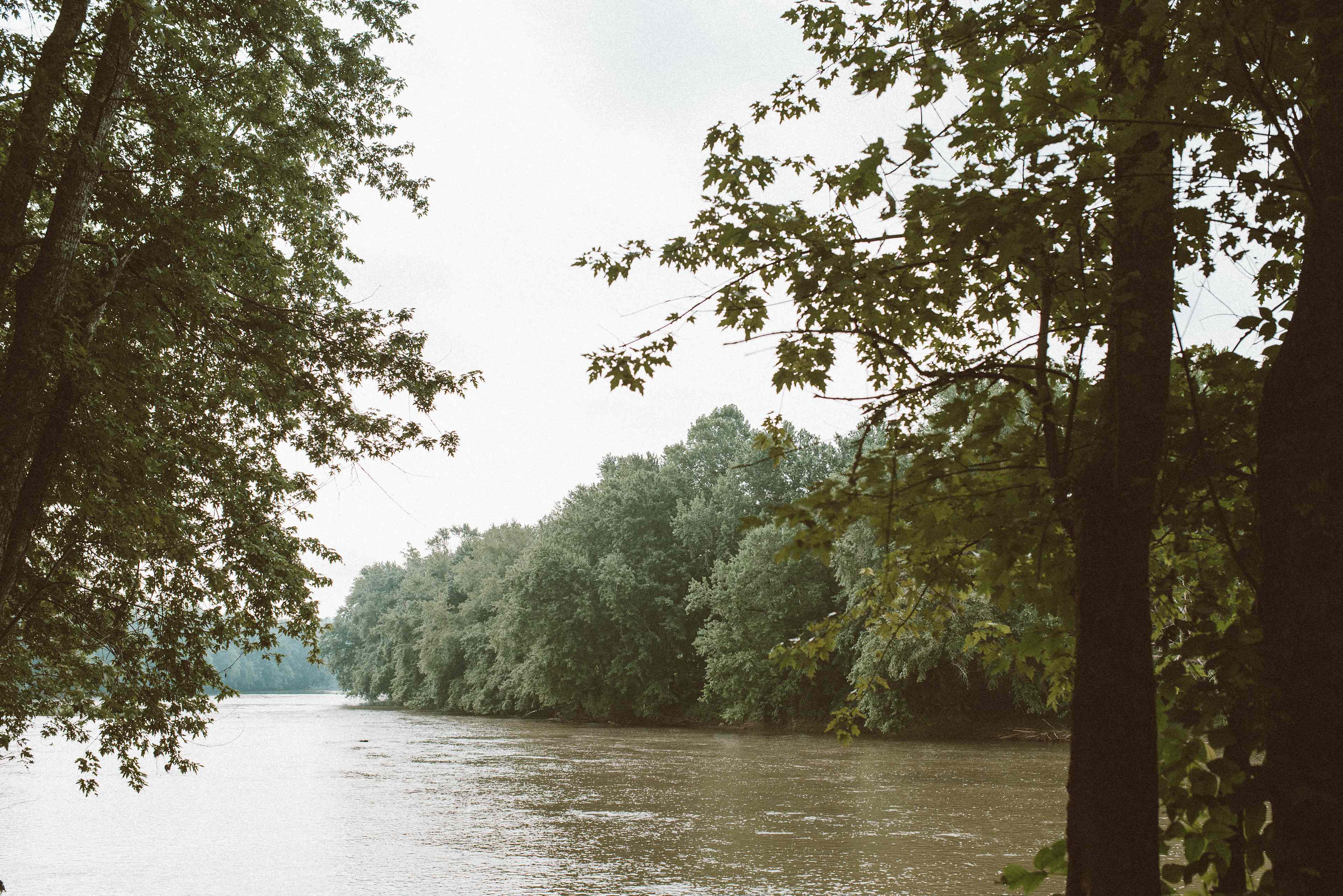 Views of the river from my site!