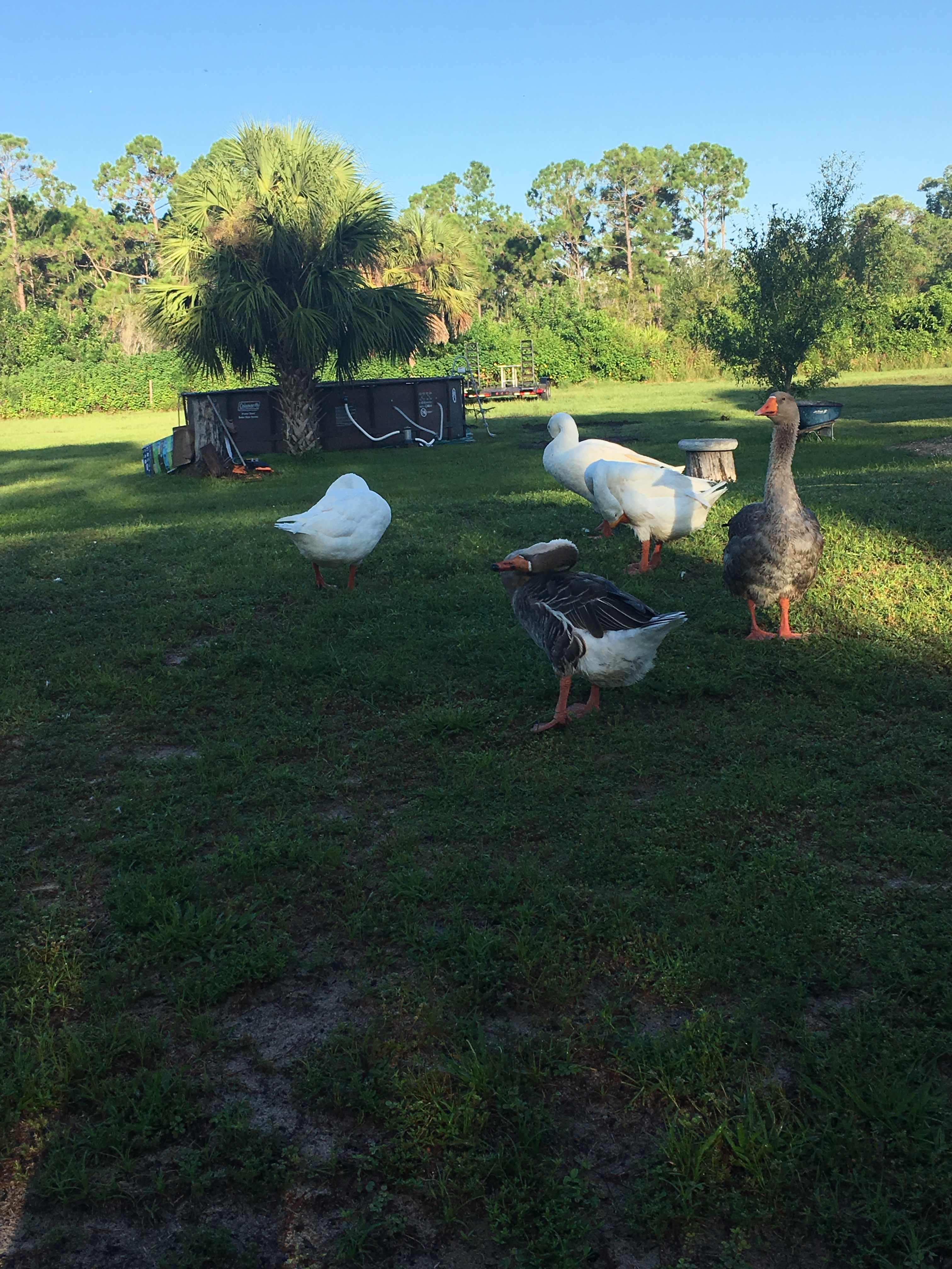 Paradise Ranch