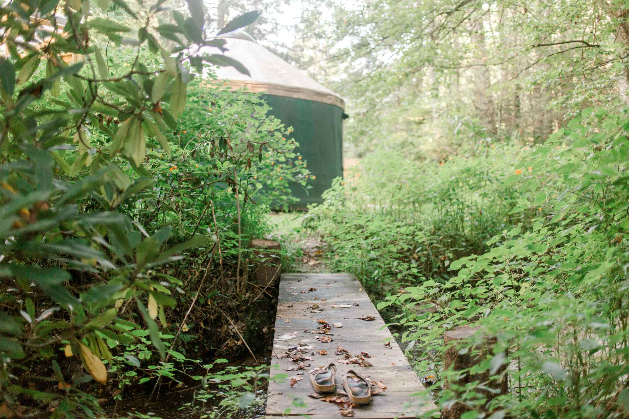 Charming little foot bridge across a stream in the backyard.