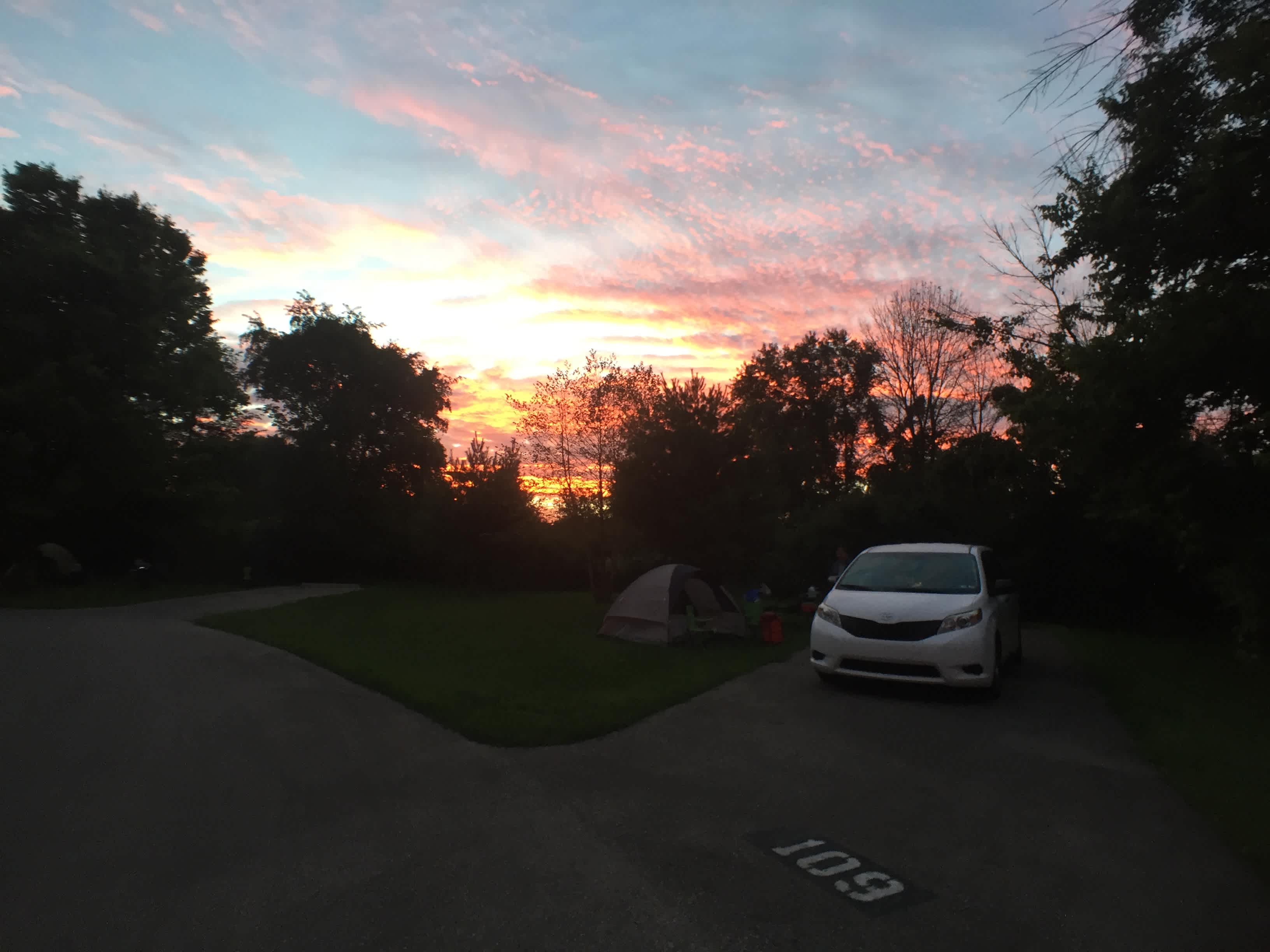 The best dog-friendly campgrounds near Jeffersonville, Ohio