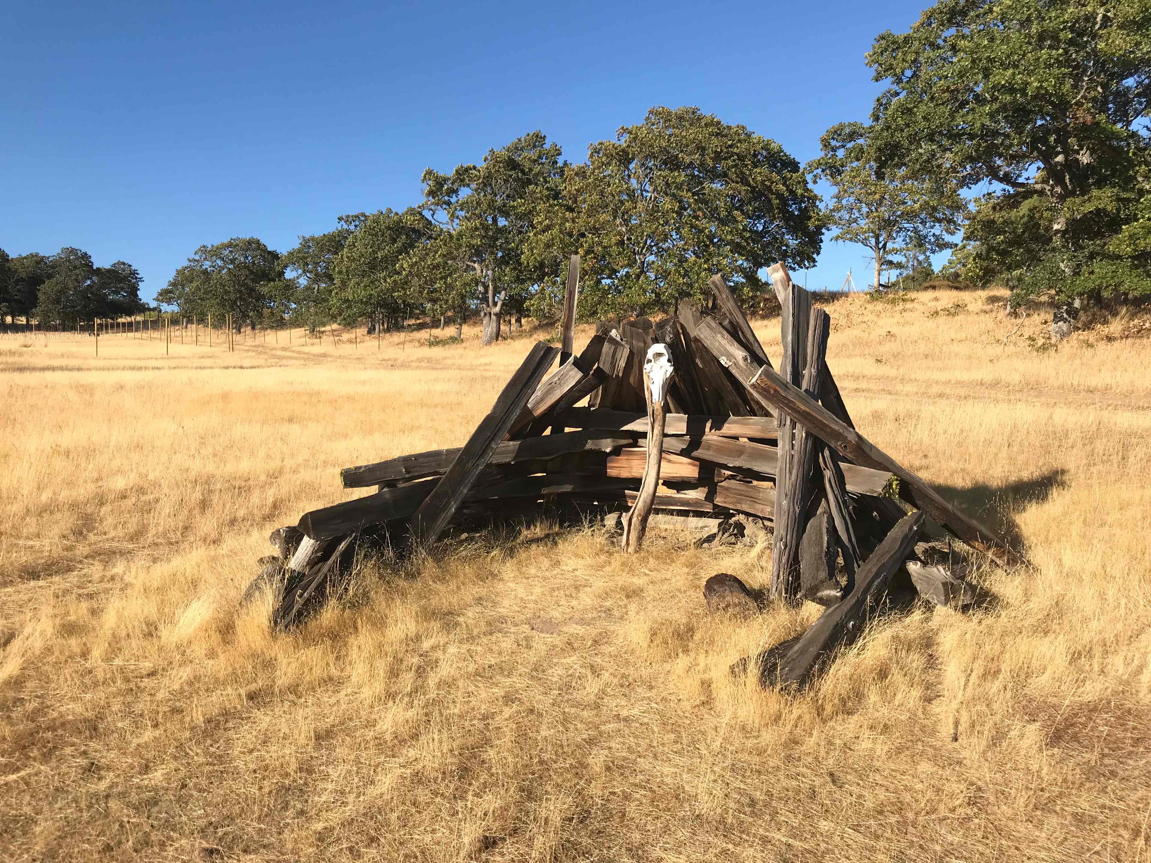Klickitat Canyon Winery