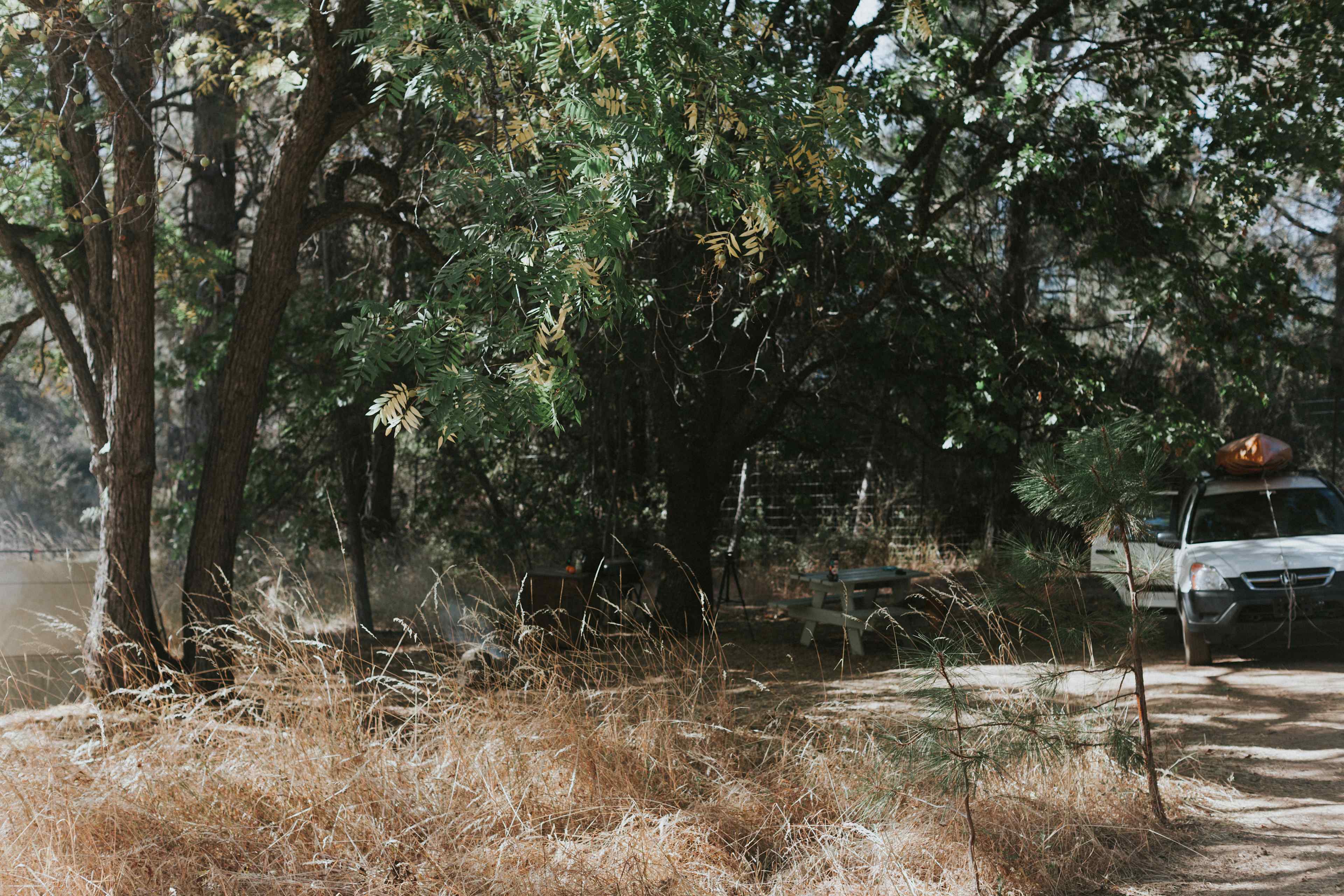 Campsite is very private and secluded