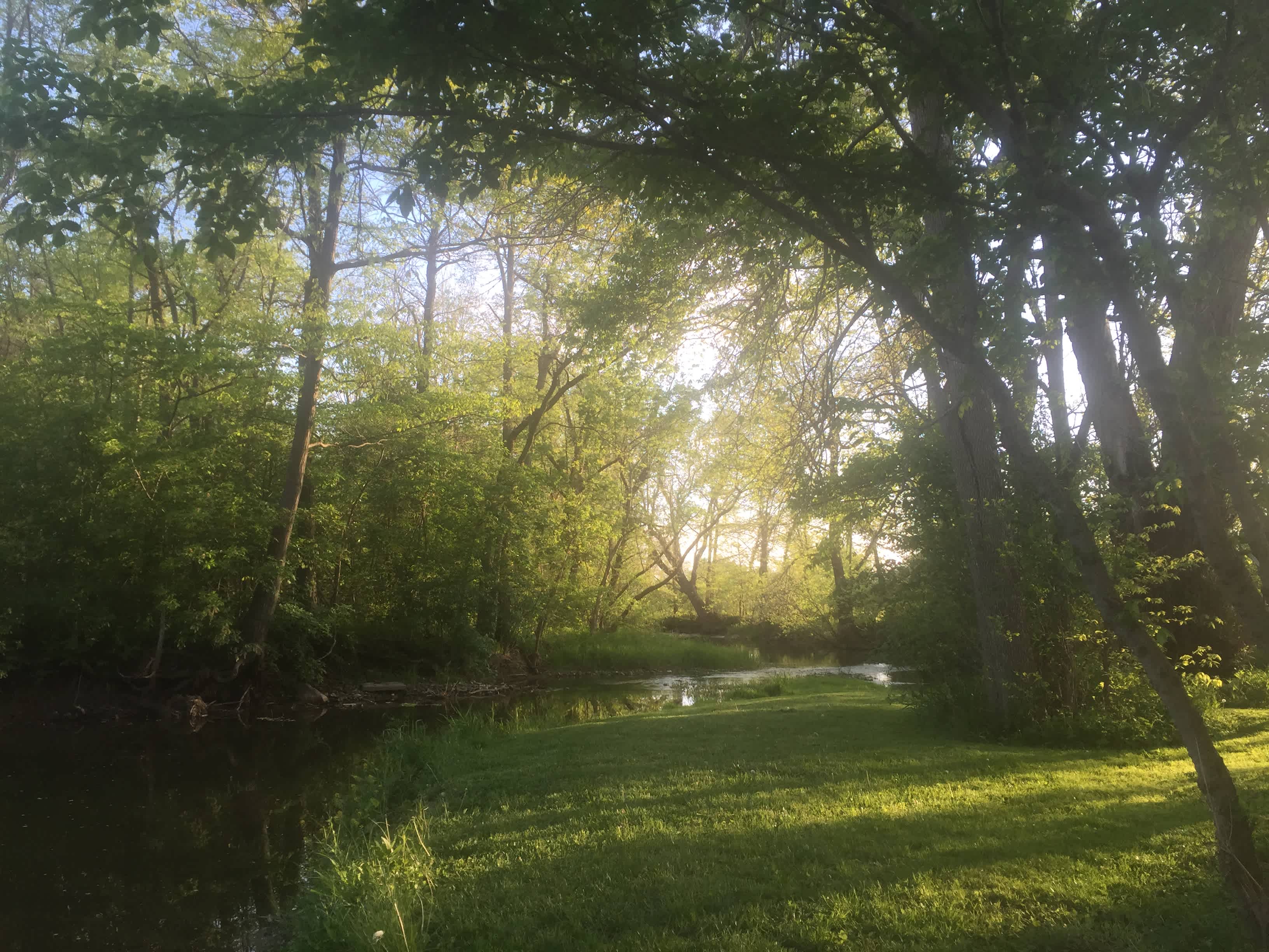 Views from around the property