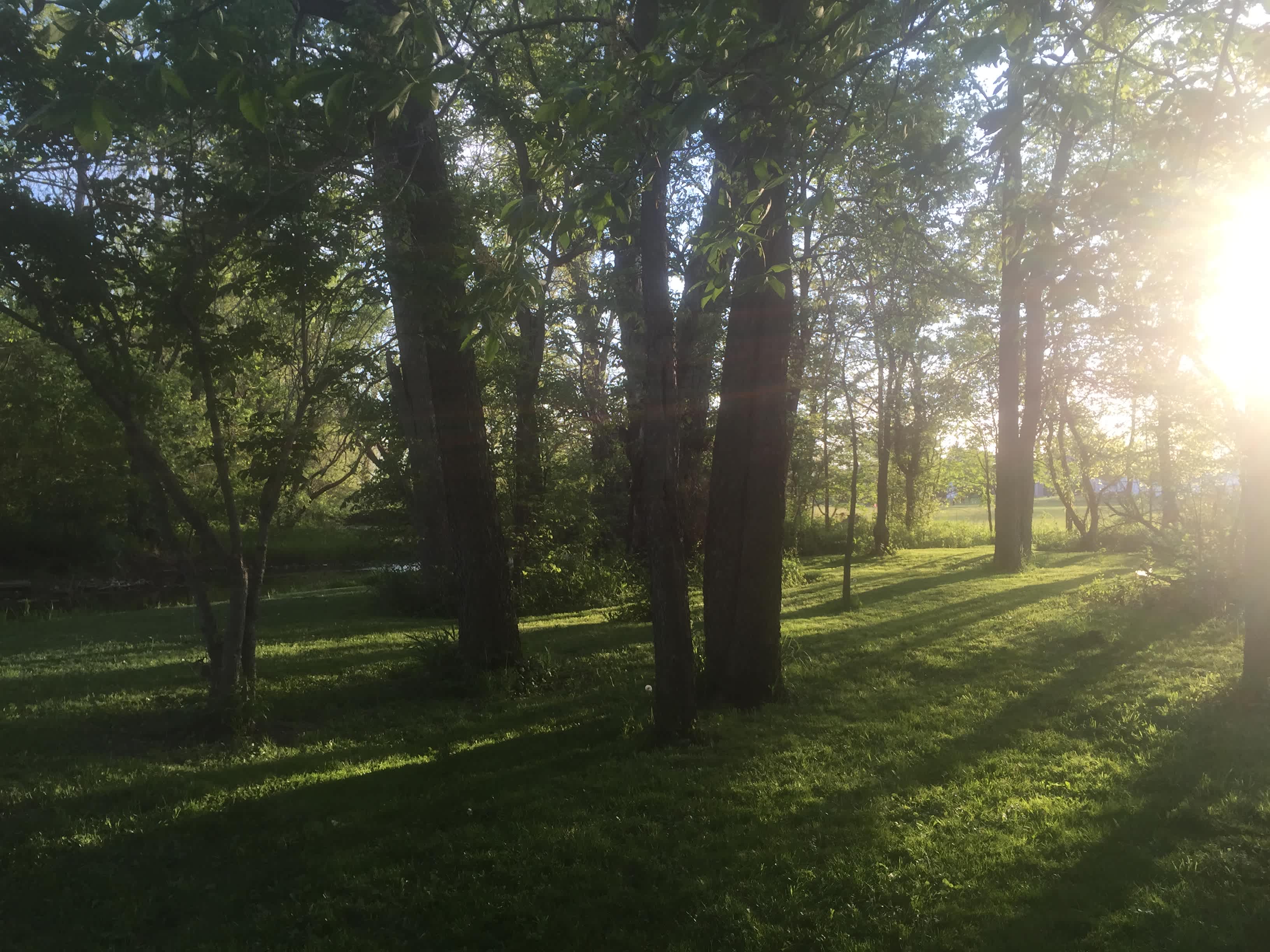 Views from around the property